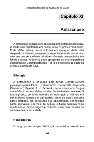 Principais doenças do cacaueiro no Brasil


                                               Capítulo XI


                                               Antracnose


    A antracnose do cacaueiro apresenta uma distribuição mundial,
já tendo sido constatada em quase todos os países produtores.
Pode afetar folhas, ramos e frutos em qualquer idade, não
chegando, entretanto, a assumir qualquer importância econômica,
uma vez que seus efeitos principais são mais pronunciados em
folhas e ramos. A doença pode apresentar alguma importância
econômica na Colômbia (Barros, 1981), e em países do oeste da
África e sudeste da Ásia.


  Etiologia

   A antracnose é causada pelo fungo Colletotrichum
gloeosporioides Penz., (teleomorfo: Glomerella cingulata
(Stoneman) Spauld. & H. Schrenk) pertencente aos fungos
anamórficos, ordem Melanconiales, família Melanconiaceae. O
fungo produz conídios ovóides ou oblongos e hialinos em
conidióforos simples e alongados, além de setas escuras
características, em estruturas sub-epidérmicas, conhecidas
como acérvulos. Em meio de cultura, o fungo desenvolve-se
rapidamente, dando origem a colônias cinza com massas de
conídios de cor amarelada.


  Hospedeiros

  O fungo possui ampla distribuição mundial ocorrendo em

                                109
 