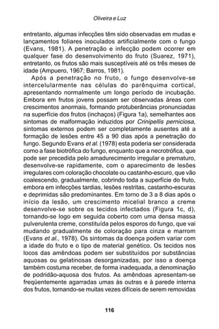 Oliveira e Luz

entretanto, algumas infecções têm sido observadas em mudas e
lançamentos foliares inoculados artificialmente com o fungo
(Evans, 1981). A penetração e infecção podem ocorrer em
qualquer fase do desenvolvimento do fruto (Suarez, 1971),
entretanto, os frutos são mais susceptíveis até os três meses de
idade (Ampuero, 1967; Barros, 1981).
    Após a penetração no fruto, o fungo desenvolve-se
intercelularmente nas células do parênquima cortical,
apresentando normalmente um longo período de incubação.
Embora em frutos jovens possam ser observadas áreas com
crescimentos anormais, formando protuberâncias pronunciadas
na superfície dos frutos (inchaços) (Figura 1a), semelhantes aos
sintomas de malformação induzidos por Crinipellis perniciosa,
sintomas externos podem ser completamente ausentes até a
formação de lesões entre 45 a 90 dias após a penetração do
fungo. Segundo Evans et al. (1978) esta poderia ser considerada
como a fase biotrófica do fungo, enquanto que a necrotrófica, que
pode ser precedida pelo amadurecimento irregular e prematuro,
desenvolve-se rapidamente, com o aparecimento de lesões
irregulares com coloração chocolate ou castanho-escuro, que vão
coalescendo, gradualmente, cobrindo toda a superfície do fruto,
embora em infecções tardias, lesões restritas, castanho-escuras
e deprimidas são predominantes. Em torno de 3 a 8 dias após o
início da lesão, um crescimento micelial branco a creme
desenvolve-se sobre os tecidos infectados (Figura 1c, d),
tornando-se logo em seguida coberto com uma densa massa
pulverulenta creme, constituída pelos esporos do fungo, que vai
mudando gradualmente de coloração para cinza e marrom
(Evans et al., 1978). Os sintomas da doença podem variar com
a idade do fruto e o tipo de material genético. Os tecidos nos
locos das amêndoas podem ser substituídos por substâncias
aquosas ou gelatinosas desorganizadas, por isso a doença
também costuma receber, de forma inadequada, a denominação
de podridão-aquosa dos frutos. As amêndoas apresentam-se
freqüentemente agarradas umas às outras e à parede interna
dos frutos, tornando-se muitas vezes difíceis de serem removidas


                               116
 