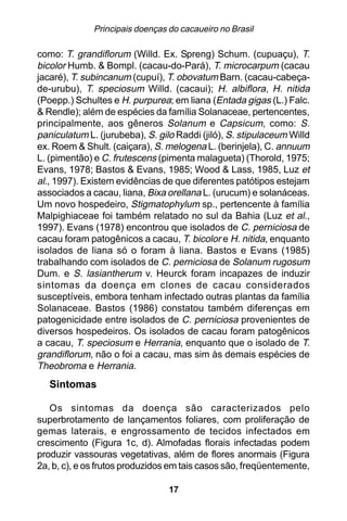 Principais doenças do cacaueiro no Brasil

como: T. grandiflorum (Willd. Ex. Spreng) Schum. (cupuaçu), T.
bicolor Humb. & Bompl. (cacau-do-Pará), T. microcarpum (cacau
jacaré), T. subincanum (cupuí), T. obovatum Barn. (cacau-cabeça-
de-urubu), T. speciosum Willd. (cacaui); H. albiflora, H. nitida
(Poepp.) Schultes e H. purpurea; em liana (Entada gigas (L.) Falc.
& Rendle); além de espécies da família Solanaceae, pertencentes,
principalmente, aos gêneros Solanum e Capsicum, como: S.
paniculatum L. (jurubeba), S. gilo Raddi (jiló), S. stipulaceum Willd
ex. Roem & Shult. (caiçara), S. melogena L. (berinjela), C. annuum
L. (pimentão) e C. frutescens (pimenta malagueta) (Thorold, 1975;
Evans, 1978; Bastos & Evans, 1985; Wood & Lass, 1985, Luz et
al., 1997). Existem evidências de que diferentes patótipos estejam
associados a cacau, liana, Bixa orellana L. (urucum) e solanáceas.
Um novo hospedeiro, Stigmatophylum sp., pertencente à família
Malpighiaceae foi também relatado no sul da Bahia (Luz et al.,
1997). Evans (1978) encontrou que isolados de C. perniciosa de
cacau foram patogênicos a cacau, T. bicolor e H. nitida, enquanto
isolados de liana só o foram à liana. Bastos e Evans (1985)
trabalhando com isolados de C. perniciosa de Solanum rugosum
Dum. e S. lasiantherum v. Heurck foram incapazes de induzir
sintomas da doença em clones de cacau considerados
susceptíveis, embora tenham infectado outras plantas da família
Solanaceae. Bastos (1986) constatou também diferenças em
patogenicidade entre isolados de C. perniciosa provenientes de
diversos hospedeiros. Os isolados de cacau foram patogênicos
a cacau, T. speciosum e Herrania, enquanto que o isolado de T.
grandiflorum, não o foi a cacau, mas sim às demais espécies de
Theobroma e Herrania.
   Sintomas

   Os sintomas da doença são caracterizados pelo
superbrotamento de lançamentos foliares, com proliferação de
gemas laterais, e engrossamento de tecidos infectados em
crescimento (Figura 1c, d). Almofadas florais infectadas podem
produzir vassouras vegetativas, além de flores anormais (Figura
2a, b, c), e os frutos produzidos em tais casos são, freqüentemente,

                                 17
 