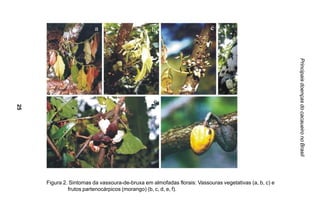 Principais doenças do cacaueiro no Brasil
25




     Figura 2. Sintomas da vassoura-de-bruxa em almofadas florais: Vassouras vegetativas (a, b, c) e
              frutos partenocárpicos (morango) (b, c, d, e, f).
 