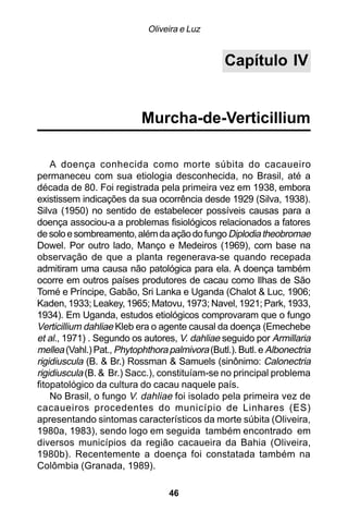 Oliveira e Luz


                                                 Capítulo IV


                           Murcha-de-Verticillium

    A doença conhecida como morte súbita do cacaueiro
permaneceu com sua etiologia desconhecida, no Brasil, até a
década de 80. Foi registrada pela primeira vez em 1938, embora
existissem indicações da sua ocorrência desde 1929 (Silva, 1938).
Silva (1950) no sentido de estabelecer possíveis causas para a
doença associou-a a problemas fisiológicos relacionados a fatores
de solo e sombreamento, além da ação do fungo Diplodia theobromae
Dowel. Por outro lado, Manço e Medeiros (1969), com base na
observação de que a planta regenerava-se quando recepada
admitiram uma causa não patológica para ela. A doença também
ocorre em outros países produtores de cacau como Ilhas de São
Tomé e Príncipe, Gabão, Sri Lanka e Uganda (Chalot & Luc, 1906;
Kaden, 1933; Leakey, 1965; Matovu, 1973; Navel, 1921; Park, 1933,
1934). Em Uganda, estudos etiológicos comprovaram que o fungo
Verticillium dahliae Kleb era o agente causal da doença (Emechebe
et al., 1971) . Segundo os autores, V. dahliae seguido por Armillaria
mellea (Vahl.) Pat., Phytophthora palmivora (Butl.). Butl. e Albonectria
rigidiuscula (B. & Br.) Rossman & Samuels (sinônimo: Calonectria
rigidiuscula (B. & Br.) Sacc.), constituíam-se no principal problema
fitopatológico da cultura do cacau naquele país.
    No Brasil, o fungo V. dahliae foi isolado pela primeira vez de
cacaueiros procedentes do município de Linhares (ES)
apresentando sintomas característicos da morte súbita (Oliveira,
1980a, 1983), sendo logo em seguida também encontrado em
diversos municípios da região cacaueira da Bahia (Oliveira,
1980b). Recentemente a doença foi constatada também na
Colômbia (Granada, 1989).

                                  46
 