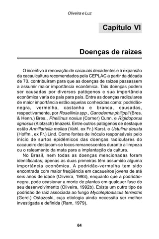 Oliveira e Luz


                                             Capítulo VI


                                Doenças de raízes

    O incentivo à renovação de cacauais decadentes e à expansão
da cacauicultura recomendados pela CEPLAC a partir da década
de 70, contribuíram para que as doenças de raízes passassem
a assumir maior importância econômica. Tais doenças podem
ser causadas por diversos patógenos e sua importância
econômica varia de país para país. Entre as doenças radiculares
de maior importância estão aquelas conhecidas como: podridão-
negra, vermelha, castanha e branca, causadas,
respectivamente, por Rosellinia spp., Ganoderma philippii (Bres.
& Henn.) Bres., Phellinus noxius (Corner) Cunn. e Rigidoporus
lignosus (Klotzsch) Imazeki. Entre outros patógenos de destaque
estão Armillariella mellea (Vahl. ex Fr.) Karst. e Ustulina deusta
(Hoffm., ex Fr.) Lind. Como fontes de inóculo responsáveis pelo
início de surtos epidêmicos das doenças radiculares do
cacaueiro destacam-se tocos remanescentes durante a limpeza
ou o raleamento da mata para a implantação da cultura.
    No Brasil, nem todas as doenças mencionadas foram
identificadas, apenas as duas primeiras têm assumido alguma
importância econômica. A podridão-vermelha tem sido
encontrada com maior freqüência em cacaueiros jovens de até
seis anos de idade (Oliveira, 1993), enquanto que a podridão-
negra, pode ocasionar a morte de plantas em qualquer fase do
seu desenvolvimento (Oliveira, 1992b). Existe um outro tipo de
podridão de raiz associada ao fungo Mycoleptodiscus terrestris
(Gerd.) Ostazeski, cuja etiologia ainda necessita ser melhor
investigada e definida (Ram, 1979).




                               64
 