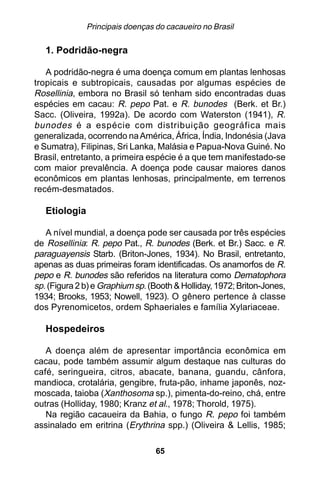 Principais doenças do cacaueiro no Brasil

   1. Podridão-negra

   A podridão-negra é uma doença comum em plantas lenhosas
tropicais e subtropicais, causadas por algumas espécies de
Rosellinia, embora no Brasil só tenham sido encontradas duas
espécies em cacau: R. pepo Pat. e R. bunodes (Berk. et Br.)
Sacc. (Oliveira, 1992a). De acordo com Waterston (1941), R.
bunodes é a espécie com distribuição geográfica mais
generalizada, ocorrendo na América, África, Índia, Indonésia (Java
e Sumatra), Filipinas, Sri Lanka, Malásia e Papua-Nova Guiné. No
Brasil, entretanto, a primeira espécie é a que tem manifestado-se
com maior prevalência. A doença pode causar maiores danos
econômicos em plantas lenhosas, principalmente, em terrenos
recém-desmatados.

   Etiologia

   A nível mundial, a doença pode ser causada por três espécies
de Rosellinia: R. pepo Pat., R. bunodes (Berk. et Br.) Sacc. e R.
paraguayensis Starb. (Briton-Jones, 1934). No Brasil, entretanto,
apenas as duas primeiras foram identificadas. Os anamorfos de R.
pepo e R. bunodes são referidos na literatura como Dematophora
sp. (Figura 2 b) e Graphium sp. (Booth & Holliday, 1972; Briton-Jones,
1934; Brooks, 1953; Nowell, 1923). O gênero pertence à classe
dos Pyrenomicetos, ordem Sphaeriales e família Xylariaceae.

   Hospedeiros

   A doença além de apresentar importância econômica em
cacau, pode também assumir algum destaque nas culturas do
café, seringueira, citros, abacate, banana, guandu, cânfora,
mandioca, crotalária, gengibre, fruta-pão, inhame japonês, noz-
moscada, taioba (Xanthosoma sp.), pimenta-do-reino, chá, entre
outras (Holliday, 1980; Kranz et al., 1978; Thorold, 1975).
   Na região cacaueira da Bahia, o fungo R. pepo foi também
assinalado em eritrina (Erythrina spp.) (Oliveira & Lellis, 1985;

                                  65
 