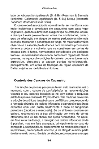 Oliveira e Luz

lado de Albonectria rigidiuscula (B. & Br.) Rossman & Samuels
(sinônimo: Calonectria rigidiuscula (B. & Br.) Sacc.) (anamorfo
Fusarium descemcellulare Brick).
   O cancro-de-Lasiodiplodia normalmente se manifesta com
maior incidência e severidade em cacaueiros com baixo vigor
vegetativo, quando submetidos a algum tipo de estresse. Assim,
a doença é mais prevalente em áreas mal sombreadas, onde o
grau de infestação e o ataque de insetos perfuradores são mais
intensos, facilitando a penetração do fungo. Na maioria das vezes
observa-se a associação da doença com ferimentos provocados
durante a poda e a colheita, que se constituem em portas de
entrada para o fungo, normalmente considerado um patógeno
fraco ou um colonizador secundário, comum em regiões de climas
quentes, mas que, sob condições favoráveis, pode se tornar mais
agressivo, chegando a causar perdas consideráveis,
principalmente, em áreas de transição da região cacaueira da
Bahia, sujeitas as deficiências hídricas.



  Controle dos Cancros do Cacaueiro

    Em função de poucas pesquisas terem sido realizadas até o
momento com o cancro de Lasiodiplodia, as recomendações
visando o seu controle baseiam-se no bom senso e naquelas
adotadas para o cancro de Phytophthora. Tais medidas envolvem
a adoção de práticas terapêuticas e profiláticas compreendendo
a remoção cirúrgica de tecidos infectados e a proteção das áreas
expostas com uma pasta cicatrizante à base de fungicidas
protetores (cúpricos e mancozeb). Se os sintomas ocorrem em
galhos, recomenda-se a sua eliminação por meio de cortes
efetuados 20 a 30 cm abaixo das áreas necrosadas. No caule,
em fase inicial da doença, a remoção dos tecidos infectados ainda
é possível, mas em fase avançada, principalmente no caso do
cancro de Lasiodiplodia, tal procedimento na maioria das vezes é
impraticável, em função da necrose já ter atingido a maior parte
do diâmetro do tronco. Em tais condições, recomenda-se a recepa

                               86
 