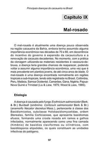 Principais doenças do cacaueiro no Brasil


                                                Capítulo IX

                                                Mal-rosado


   O mal-rosado é atualmente uma doença pouco observada
na região cacaueira da Bahia, embora tenha assumido alguma
importância econômica nas décadas de 70 e 80, em decorrência
do incentivo do governo à expansão da cacauicultura e a
renovação de cacauais decadentes. No momento, com a prática
da clonagem utilizando-se materiais resistentes à vassoura-de-
bruxa, a doença teria grandes chances de reaparecer, podendo
voltar a assumir alguma importância econômica, uma vez que é
mais prevalente em plantios jovens, de até cinco anos de idade. O
mal-rosado é uma doença encontrada normalmente em regiões
tropicais e sub-tropicais, tendo sido registrada no Brasil, Colômbia,
Peru, Malásia, Samoa Ocidental, Camarões, Gana, Nigéria, Papua-
Nova Guiné e Trinidad (Liu & Liew, 1975; Wood & Lass, 1985).


   Etiologia

   A doença é causada pelo fungo Erythricium salmonicolor (Berk.
& Br.) Burdsall (sinônimo: Corticium salmonicolor Berk & Br.)
(anamorfo Necator decretus Mass.), pertencente à classe dos
Basidiomicetos, subclasse Holobasidiomycetidae, ordem
Stereales, família Corticiaceae, que apresenta basidiomas
efusos, formando uma crosta rosada em ramos e galhos
infectados, normalmente aparecendo como uma fina camada
(himênio) de basídios claviformes ou cilíndricos, com
basidiósporos elipsóides, os quais constituem as unidades
infectivas do patógeno.


                                  97
 