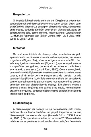 Oliveira e Luz

   Hospedeiros

   O fungo já foi assinalado em mais de 100 gêneros de plantas,
sendo algumas de interesse econômico como: cacau, citros, café,
chá (Camelia sinensis L.), eucalipto, pimenta-do-reino, seringueira,
entre outras, podendo também ocorrer em plantas utilizadas em
coberturas do solo, como: crótons, feijão-guandu (Cajanus cajan
(L.) Huth.) e Tephrosia spp. (Briton-Jones, 1934; Liu & Liew, 1975;
Wood & Lass, 1985).


   Sintomas

   Os sintomas iniciais da doença são caracterizados pelo
aparecimento de pústulas estéreis, esbranquiçadas, em ramos
e galhos (Figura 1a), dando origem a um micélio fino
esbranquiçado em forma de teia (Figura 1b), que se espalha sobre
a superfície dos galhos, penetrando o córtex e o câmbio e
acarretando a sua seca (Luz & Ram, 1980). Com a evolução do
quadro sintomatológico observa-se o aparecimento de fendas na
casca, culminando com o surgimento da crosta rosada
característica (Figura 1c, d). Tais sintomas e sinais em associação
com o aparecimento de galhos secos mostrando folhas presas,
permitem um fácil diagnóstico da doença. Em plantas jovens a
doença é mais freqüente em galhos e no caule, normalmente,
próximo à forquilha, podendo nestes casos ocasionar a seca de
toda a copa da planta.


   Epidemiologia

    A disseminação da doença se dá normalmente pelo vento,
embora chuva tenha também um papel importante na sua
disseminação no interior da copa (Almeida & Luz, 1986; Luz et
al., 1985 b). Temperaturas médias em torno de 25 º C e umidades
relativas do ar próximas à saturação são condições favoráveis


                                98
 