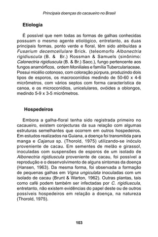 Principais doenças do cacaueiro no Brasil

  Etiologia

   É possível que nem todas as formas de galhas conhecidas
possuam o mesmo agente etiológico, entretanto, as duas
principais formas, ponto verde e floral, têm sido atribuídas a
Fusarium decemcellulare Brick. (teleomorfo Albonectria
rigidiuscula (B. & Br.) Rossman & Samuels (sinônimo:
Calonectria rigidiuscula (B. & Br.) Sacc.), fungo pertencente aos
fungos anamórficos, ordem Moniliales e família Tuberculariaceae.
Possui micélio cotonoso, com coloração púrpura, produzindo dois
tipos de esporos, os macroconídios medindo de 50-60 x 4-6
micrômetros, com vários septos com forma característica de
canoa, e os microconídios, unicelulares, ovóides a oblongos,
medindo 5-9 x 3-5 micrômetros.


   Hospedeiros

   Embora a galha-floral tenha sido registrada primeiro no
cacaueiro, existem conjecturas da sua relação com algumas
estruturas semelhantes que ocorrem em outros hospedeiros.
Em estudos realizados na Guiana, a doença foi transmitida para
manga e Cajanus sp. (Thorold, 1975) utilizando-se inóculo
proveniente de cacau. Em sementes de melão e girassol,
inoculadas com suspensões de esporos de um isolado de
Albonectria rigidiuscula proveniente de cacau, foi possível a
reprodução e o desenvolvimento de alguns sintomas da doença
(Hansen, 1963). Da mesma forma, foi observada a formação
de pequenas galhas em Vigna ungiculata inoculadas com um
isolado de cacau (Brunt & Warton, 1962). Outras plantas, tais
como café podem também ser infectadas por C. rigidiuscula,
entretanto, não existem evidências do papel deste ou de outros
possíveis hospedeiros em relação a doença, na natureza
(Thorold, 1975).




                                103
 