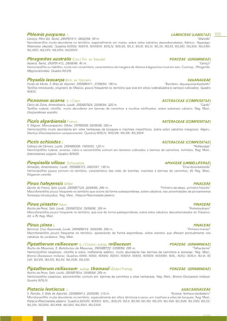 Phlomis purpurea                  L.                                                                                        LAMIACEAE (LABIATAE)                  103
Cavaco, Pêro Gil, Tavira; 29SPB1911; 09/02/94; 50 m.                                                                                               “Marioila”
Nanofanerófito muito abundante no território, especialmente em matos, sobre solos calcários descarbonatados. Ibérico.; Asparago-
Rhamnion oleoidis; Quadros III/XXIV; III/XXVI; III/XXXVII; III/XLIV; III/XLVII; III/LII; III/LIII; III/LXI; III/LXII; III/LXX; III/LXXI; III/LXXII; III/LXXIII;
III/LXXIV; III/LXXV; III/LXXVI; III/LXXVII.


Phragmites australis (Cav.) Trin. ex Steudel                                                                               POACEAE (GRAMINEAE)
Asseca, Tavira; 29SPB1412; 29/08/96; 45 m.                                                                                        “Caniço”
Hemicriptófito ou Helófito, muito raro no território, característico de margens de ribeiras e lagoachos ricos em sais; Cosmop.; Phragmito-
Magnocaricetea; Quadro III/LVIII.


Physalis ixocarpa Brot. ex Hornem.                                                                                                         SOLANACEAE
Fonte da Murta, S. Brás de Alportel; 29SNB9411; 27/08/94; 180 m.                                       “Barrileiro, alquequenje-bastardo”
Terófito introduzido, originário do México, pouco frequente no território que vive em sítios ruderalizados e campos cultivados; Quadro
III/XXX.


Picnomon acarna                   (L.) Cass.                                                                         ASTERACEAE (COMPOSITAE)
Cerro da Zorra, Amendoeira, Loulé; 29SNB7924; 20/06/94; 320 m.                                                           “Cardo”
Terófito ruderal, nitrófilo, muito abundante em bermas de caminhos e incultos nitrificados, sobre substrato calcário; Reg. Med.;
Onopordenea acanthii.


Picris algarbiensis Franco                                                                                           ASTERACEAE (COMPOSITAE)
S. Miguel, Moncarapacho, Olhão; 2SPB0506; 05/06/96; 280 m
Hemicriptófito muito abundante em orlas herbáceas de bosques e machiais mesofíticos, sobre solos calcários margosos; Algarv.;
Stachyo-Cheirolophenion sempervirentis; Quadros III/XLIV; III/XLVIII; III/LXIII; III/LXXVII.


Picris echioides L.                                                                                                  ASTERACEAE (COMPOSITAE)
Cabeço da Câmara, Loulé; 29SNB8308; 10/05/93; 120 m.                                                               “Reflassage”
Hemicriptófito ruderal, arvense, viário e escionitrófilo comum em terrenos cultivados e bermas de caminhos, húmidos; Reg. Med.;
Artemisienea vulgaris; Quadro III/XXIX.


Pimpinella villosa                Schousboe                                                                            APIACEAE (UMBELLIFERAE)
Almarjão; Amendoeira; Loulé: 29SNB9315; 04/03/97; 180 m.                                                 “Erva-doce-bastarda”
Hemicriptófito pouco comum no território, característico das orlas de brenhas, machiais e bermas de caminhos; W. Reg. Med.;
Origanion virentis.


Pinus halepensis Miller                                                                                                                         PINACEAE
Quinta do Freixo, Salir, Loulé; 29SNB7724; 20/04/95; 280 m.                                    “Pinheiro-de-alepo; pinheiro-francês”
Macrofanerófito pouco frequente no território que ocorre de forma subespontânea, sobre calcários, nas proximidades de povoamentos
florestais introduzidos; Reg. Med.; Pistacio-Rhamnetalia alaterni.


Pinus pinaster Aiton                                                                                                                            PINACEAE
Rocha da Pena, Salir, Loulé; 29SNB7824; 26/08/96; 300 m.                                                           “Pinheiro-bravo”
Macrofanerófito pouco frequente no território, que vive de forma subespontânea, sobre solos calcários descarbonatados do Triássico;
Atl. e W. Reg. Med.


Pinus pinea L.                                                                                                                                  PINACEAE
Barrocal, Cruz Assomada, Loulé; 29SNB8514; 30/03/96; 260 m.                                                “Pinheiro-manso”
Macrofanerófito pouco frequente no território, aparecendo de forma espontânea, sobre arenitos que afloram pontualmente nos
calcários do Jurássico; Reg. Med.

Piptatherum miliaceum (L.) Cosson subsp. miliaceum                                                                         POACEAE (GRAMINEAE)
Rocha de Messines, S. Bartolomeu de Messines; 29SNB6722; 03/06/94; 260 m.                                                                “Talha-dente”
Hemicriptófito cespitoso, nitrófilo e viário, indiferente edáfico, muito abundante nas bermas de caminhos e estradas; Reg. Med.;
Bromo-Oryzopsion miliacei; Quadros III/XIII; III/XIX; III/XXIV; III/XXV; III/XXVI; III/XXX; III/XXXII; III/XXXIII; III/XL; III/XLI; III/XLII; III/LVI; III/
LVII; III/LVIII; III/LXIV; III/LXV; III/LXVIII; III/LXXII.


Piptatherum miliaceum                        subsp. thomasii (Duby) Freitag                                                POACEAE (GRAMINEAE)
Rocha da Pena, Salir, Loulé; 29SNB7824; 20/06/94; 260 m.
Hemicriptófito cespitoso, escionitrófilo, comum em bermas de caminhos e orlas herbáceas; Reg. Med.; Bromo-Oryzopsion miliacei.
Quadro III/XLIV.


Pistacia lentiscus                L.                                                                                                 ANACARDIACEAE
S. Romão, S. Brás de Alportel; 29SNB9413; 20/05/96; 310 m.                                                                 “Aroeira; lentisco-verdadeiro”
Microfanerófito muito abundante no território, especialmente em sítios térmicos e secos em machiais e orlas de bosques; Reg. Med.;
Pistacio-Rhamnetalia alaterni; Quadros III/XXIV; III/XXVI; III/XL; III/XLVII; III/LII; III/LXII; III/LXIV; III/LXVI; III/LXVII; III/LXVIII; III/LXXIV; III/LXX;
III/LXXI; III/LXXII; III/LXXIII; III/LXXV; III/LXXVI; III/LXXVII.


                                                                                                                                                        A FLORA
 