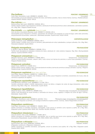 Poa bulbosa          L.                                                                                    POACEAE (GRAMINEAE)                105
Fonte Filipe, Amendoeira, Loulé; 29SNB9215; 03/04/96; 155 m.                                                        “Erva-cebola”
Hemicriptófito comum em arrelvados e clareiras de matos, submetidos a pisoteio, mais ou menos intenso; Cosmop.; Poetalia bulbosae;
Quadros III/XXXV; III/XXXVI; III/XLVI; III/XLIX.

Poa infirma Kunth                                                                                          POACEAE (GRAMINEAE)
Rocha da Pena, Salir, Loulé; 29SNB7923; 03/05/94; 460 m.
Terófito ruderal e nitrófilo muito frequente no território, sobretudo em bermas de caminhos e sítios ruderalizados, submetidos a pisoteio;
Atl. e Reg. Med.; Polygono-Poetalia annuae.

Poa trivialis       subsp. sylvicola (Guss.) H. Lindb.                                                     POACEAE (GRAMINEAE)
Cerro da Zorra, Amendoeira Querença, Loulé; 29SNB9115; 22/03/94; 220 m.
Hemicriptófito pouco frequente no território, característico de arrelvados que marginam os cursos de água, sobre solos profundos,
temporariamente encharcados; Lateeurosib.; Molinietalia caeruleae; Quadros III/LVI; III/LVII; III/LVIII.


Polycarpon tetraphyllum                  (L) L.                                                                 CARYOPHYLLACEAE
Cabeço da Câmara, Loulé; 29SNB8208; 05/06/93; 100 m.
Terófito ruderal, e nitrófilo muito comum no território, particularmente em sítios ruderalizados e campos cultivados; Atl. e Reg. Med.;
Polycarpion tetraphylii; Quadro III/XLVI.


Polygala monspeliaca L.                                                                                              POLYGALACEAE
S. Romão, S. Brás de Alportel; 29SNB9413; 20/05/96; 310 m.
Terófito muito abundante em arrelvados e clareiras de matos, sobretudo em solos calcários margosos; Reg. Med.; Brachypodietalia
distachyi; Quadros III/XXXVII; III/XLVI.

Polygonum arenastrum Boreau                                                                                          POLYGONACEAE
Mesquita, Querença, Loulé; 29SNB8618; 11/09/96; 260 m.                                        “Sempre-noiva ; corriola-bastarda”
Terófito ou hemicriptófito prostrado, ruderal e viário, muito comum em bermas de caminhos e outros locais pisoteados; Cosmop.;
Polygono-Poetalia annuae.

Polygonum aviculare L.                                                                                               POLYGONACEAE
Asseca, Tavira; 29SPB1412; 27/09/95; 50 m.                                                           “Sempre-noiva ; corriola-bastarda”
Terófito ruderal, arvense, nitrófilo e viário, muito abundante em entulhos, bermas de caminhos e campos cultivados; Cosmop.; Polygono-
Poetalia annuae; Quadros III/XXVIII; III/XXXII.

Polygonum capitatum Buch.-Ham. ex D. Don                                                                             POLYGONACEAE
Cerca Velha, Paderne, Albufeira; 29SNB7214; 11/05/96; 200 m.
Hemicriptófito introduzido, originário dos Himalaias e Este. da Ásia, pouco frequente no território, característico de muros, orlas de
caminhos e aquedutos de regadios.

Polygonum equisetiforme Sibth. & Sm                                                                                  POLYGONACEAE
Fonte Benémola, Querença, Loulé; 29SNB8818; 11/11/94; 150 m.
Caméfito sufruticoso ruderal e nitrófilo relativamente comum nos leitos e margens de cursos de água temporários, sobre solos
arenosos; Reg. Med. e Reg. Iran.; Tamaricetalia; Quadro III/LXV.

Polygonum lapathifolium L.                                                                                           POLYGONACEAE
Ribeira da Asseca, Tavira; 29SPB1412; 29/08/96; 40 m.                          “Persicaria-vulgar, erva-pulgueira, erva-pessegueira”
Terófito muito abundante em locais húmidos e nitrificados de charcos, hortas, regadios e margens de cursos de água; Cosmop.;
Bidentetalia; Quadro III/XIV.

Polygonum persicaria L.                                                                                              POLYGONACEAE
Fonte Filipe, Amendoeira, Loulé; 29SNB9215; 02/07/94; 170 m.                “Persicaria-vulgar, erva-pulgueira, erva-pessegueira”
Terófito muito frequente no território, com ecologia semelhante à espécie anterior; Cosmop.; Solano-Polygonetalia convolvuli.


Polypodium cambricum L.                                                                                             POLYPODIACEAE
Fonte Filipe, Amendoeira, Loulé; 29SNB9215; 16/02/93; 160 m.                                               “Polipódio; fentelho”
Geófito rizomatoso ou Caméfito rizomatoso, sub-higrófilo, muito comum no território como rúpicola ou epífita. Atl. e Reg. Med.;
Polypodion serrati; Quadros III/XXI; III/XXII; III/LI; III/LXXIV; III/LXXVI; III/LXXVII.


Polypodium interjectum Shivas                                                                                       POLYPODIACEAE
Cerro do Guilhim, Estoi, Loulé; 29SNB9407; 11/04/96; 200 m.                                                    “Polipódio; fentelho”
Geófito rizomatoso ou Caméfito rizomatoso, sub-higrófilo, raro no território que ocorre como rúpicola ou epífita. Atl. e Reg. Med.;
Anomodonto-Polypodietalia; Quadros III/XVII; III/XX; III/XXI; III/XXII; III/XLI; III/LXXVII.


Polypodium x shivasiae Rothm.                                                                                       POLYPODIACEAE
Rocha da Pena, Salir, Loulé; 29SNB7923; 03/05/94; 460 m.                                                   “Polipódio; fentelho”
(Polypodium cambricum x Polypodium interjectum)
Geófito rizomatoso ou Caméfito rizomatoso, sub-higrófilo, comum no território como epífita; Atl. e Reg. Med.; Polypodion serrati.
Quadros III/XXI; III/XXII.

                                                                                                                                    A FLORA
 