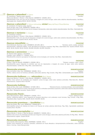 108 Quercus x jahandiezii A. Camus                                                                                              FAGACEAE
    (Q. canariensis x. faginea subsp. alpestris)                                                                      “Carvalho”
    Ribeira das Mercês, S. Romão, S. Brás Alportel; 29SNB9415; 13/04/94; 240 m.
    Mesofanerófito muito raro que vive em bosques e margens de cursos de água, sobre solos calcários descarbonatados; Iber-Maur.;
    Quercetalia ilicis; Quadros III/LXX; III/LXXI; III/LXXIII.

    Quercus x jahandiezii A. Camus nothosubsp. viciosi Sáenz de Rivas & Rivas-Martínez                                          FAGACEAE
    (Q. canariensis x Q. faginea subsp. faginea)                                                                                “Carvalho”
    Rocha da Pena, Salir, Loulé; 29SNB7923; 05/06/94; 460 m.
    Mesofanerófito também muito raro que vive em bosques marcescentes, sobre solos calcários descarbonatados; Iber.-Maur.; Quercetalia ilicis.


    Quercus x marianica                C. Vicioso                                                                               FAGACEAE
    (Q. canariensis x broteroi)                                                                                        “Carvalho”
    Ribeira das Mercês, S. Romão, S. Brás Alportel; 29SNB9415; 13/04/94; 240 m.
    Mesofanerófito muito raro que vive em bosques e margens de cursos de água, sobre solos calcários descarbonatados; Iber.-Maur.;
    Quercenion broteroi; Quadros III/LXX; III/LXXI; III/LXIII.


    Quercus rotundifolia Lam.                                                                                                   FAGACEAE
    Fonte Benémola, Querença, Loulé; 29SNB8818; 20/12/95; 380 m.                                  “Azinheira; azinho; sardão; sardoeira”
    Mesofanerófito, indiferente edáfico, muito abundante em bosques e machiais; Reg. Med.; Quercetalia ilicis; Quadros III/XLVII; III/LIV;
    III/LXI; III/LXII; III/LXIV; III/LXX; III/LXXI; III/LXXIII; III/LXXIV; III/LXXVI; III/LXXVII.


    Quercus x senneniana                 A. Camus                                                                               FAGACEAE
    (Q. faginea subsp. faginea x rotundifolia)
    Espargal; Loulé; 29SNB7717; 13/04/94; 240 m.
    Mesofanerófito raríssimo que apenas foi observado numa só estação, em machiais. Iber.-Maur.; Quercetalia ilicis.


    Quercus suber           L.                                                                                                  FAGACEAE
    Arrotea, S. Brás de Alportel; 29SNB9613; 23/05/96; 380 m.                            “Sobreiro; sovereiro; sobro; sôvero”
    Mesofanerófito pouco frequente no território que vive em depressões e margens de cursos de água, sobre solos calcários
    descarbonatados; Cantáb.-Atl. e Reg. Med.; Quercetalia ilicis.


    Ranunculus arvensis L.                                                                                             RANUNCULACEAE
    Cerro do Guilhim, Estoi, Faro; 29SNB9506; 10/04/96; 120 m.                                                                    “Patalôco”
    Terófito, ruderal, comum em terrenos cultivados, sobre solos calcários. Reg. Eurosib. e Reg. Med.; Centaureetalia cyani; Quadro III/XXVII.


    Ranunculus bulbosus subsp. adscendens (Brot.) Neves                                                                RANUNCULACEAE
    Ribeira das Mercês, S. Romão, S. Brás Alportel; 29SNB9415; 13/04/94; 240 m.
    Geófito muito comum em arrelvados que marginam cursos de água, sobre solos calcários profundos; Med.-Ibero-Atl.; Molinio-
    Holoschoenion; Quadros III/LIII; III/LXVIII.


    Ranunculus bullatus L.                                                                                             RANUNCULACEAE
    Rocha da Pena, Salir, Loulé; 29SNB8023; 12/10/94; 460 m.                “Montã-do-Outono; borboleta-bolhada; ranúnculo-bolhado”
    Geófito muito abundante em incultos, bermas de caminhos e arrelvados submetidos a pastoreio, sobre solos calcários descarbonatados.
    Reg. Med.; Plantaginion serrariae; Quadro III/XLVI.


    Ranunculus ficaria L.                                                                                              RANUNCULACEAE
    Peral, Moncarapacho, Olhão; 29SPB0410; 12/04/95; 170 m.                                              “Ficária; celidónia-menor “
    Geófito, indiferente edáfico, muito frequente em bosques ribeirinhos e em arrelvados muito húmidos; Reg. Eurosib. e Reg. Med.;
    Populetalia albae; Quadros III/XL; III/LXIV; III/LXV; III/LXVIII; III/LXXI.


    Ranunculus gramineus var. luzulifolius Boiss.                                                                      RANUNCULACEAE
    Rocha dos Soidos, Alte, Loulé; 29SNB7523; 13/04/94;450 m.
    Hemicriptófito comum em clareiras de matos e em fissuras de rochas calcárias dolomíticas; Reg. Med.; Agrostietalia castellanae;
    Quadros III/LII; III/LXXVI.


    Ranunculus macrophyllus Desf.                                                                                      RANUNCULACEAE
    Ribeira Mercês, S. Romão, S. Brás de Alportel; 29SNB9415; 13/04/94; 240 m.
    Geófito muito comum em arrelvados húmidos que marginam cursos de água, sobre solos calcários profundos; W. Reg. Med.; Molinio-
    Holoschoenion vulgaris; Quadro III/LVIII.


    Ranunculus muricatus L.                                                                                            RANUNCULACEAE
    Cerro Grande, Moncarapacho, Olhão; 29SPB0909; 13/03/95; 100 m.                                                     “Bugalho”
    Terófito muito frequente em terrenos cultivados, sobretudo em locais alterados e temporariamente encharcados, sobre substrato
    básico; Cosmop.; Isoeto-Nanojuncetea.




    A FLORA
 