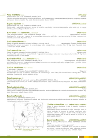 112 Ruta montana (L.) L.                                                                                                              RUTACEAE
    Rocha da Pena, Salir, Loulé; 29SNB8024; 26/06/96; 340 m.                                                                    “Arrudão”
    Caméfito sufruticoso, subnitrófilo, muito comum em sítios térmicos e secos, em arrelvados e clareiras de matos, sobre solos calcários,
    pedregosos, descarbonatados; Reg. Med.; Cisto-Lavanduletea; Quadro III/XXXV.


    Sagina apetala           Ard.                                                                                        CARYOPHYLLACEAE
    Rocha da Pena, Salir, Loulé; 29SNB8023; 04/04/96; 460 m.
    Terófito viário e subnitrófilo, comum em bermas de caminhos e arrelvados intensamente pisoteados, sobre solos, mais ou menos,
    húmidos; Latemed; Polygono-Poetalia annuae.


    Salix alba subsp. vitellina (L.) Arcangeli                                                                                     SALICACEAE
    Fonte Benémola, Querença, Loulé; 29SNB8818; 08/05/94; 150 m.                               “Salgueiro-branco; sinceiro”
    Mesofanerófito comum, em margens de cursos de água, sobre solos profundos e permanentemente húmidos, frequentemente
    cultivado; Lateeurosib; Populetalia albae.


    Salix atrocinerea Brot.                                                                                                        SALICACEAE
    Ribeira das Mercês, Aldeia da Tôr, Loulé; 29SNB8716; 30/03/94; 130 m.           “Salgueiro-preto; cinzeiro; borrazeira-preta”
    Mesofanerófito comum em margens de cursos de água, sobre solos profundos e húmidos. Atl. e W. Reg. Med.; Populetalia albae.
    Quadros III/XL; III/LVIII; III/LXIX.


    Salix neotricha Goerz                                                                                                          SALICACEAE
    Ribeira das Mercês, Aldeia da Tôr, Loulé; 29SNB8716; 28/08/96; 130 m.                                               “Salgueiro-frágil”
    Mesofanerófito raro no território, característico de margens de cursos de água, sobre solos profundos e muito húmidos; W. Reg. Med.;
    Salicetalia purpureae; Quadro III/LXIX.

    Salix salviifolia subsp. australis Franco                                                                                      SALICACEAE
    Fonte Benémola, Salir, Loulé; 29SNB8818; 14/04/94; 160 m.                                “Borrazeira-branca; salgueiro-branco”
    Microfanerófito comum em margens de cursos de água temporários com estio acentuado, sobre solos profundos e húmidos; Ibérico;
    Salicion salviifoliae; Quadros III/LXIX.


    Salix x secalliana Pau & Vicioso                                                                                               SALICACEAE
    (S. atrocinerea x S. australis)
    Ribeira das Mercês, Aldeia da Tôr, Loulé; 29SNB8716; 28/08/96; 130 m.                                            “Salgueiro”
    Mesofanerófito frequente no território, em margens de cursos de água, sobre solos profundos e húmidos; W. Reg. Med.; Salicion
    salviifoliae; Quadros III/XI; III/LXVII; III/LXVIII; III/LXIX.


    Salvia argentea          L.                                                                                     LAMIACEAE (LABIATAE)
    Rocha de Messines, S. Bartolomeu de Messines, Silves; 29SNB6723; 22/05/95; 280 m.                              “Salva-larga”
    Hemicriptófito muito comum, em incultos e bermas de caminhos, sobre substratos calcários margosos; Reg. Med.; Carthametalia
    lanati.


    Salvia clandestina              L                                                                               LAMIACEAE (LABIATAE)
    Cavaco, Pêro Gil, Tavira; 29SPB1911; 01/04/96; 50 m.                                                                            “Salva”
    Hemicriptófito ruderal e subnitrófilo muito frequente no território, em incultos e bermas de caminhos, sobre substratos calcários; Reg.
    Med.; Artemisietea vulgaris; Quadro III/XXV.


    Salvia officinalis         L.                                                                                   LAMIACEAE (LABIATAE)
    Clareanes, Loulé; 29SNB8914; 15/04/93; 240 m.                                                                    “Betónica”
    Nanofanerófito introduzido, originário do Oriente, que ocorre com frequência nas bermas de estradas e caminhos, próximo de
    habitações, sobre substratos básicos.

                                                                        Salvia sclareoides                 Brot. LAMIACEAE (LABIATAE)
                                                                        Ribeira da Murta, Machados, S. Brás de Alportel; 29SNB9810;
                                                                        31/05/93; 200 m.
                                                                        Hemicriptófito muito abundante em orlas herbáceas, mais ou
                                                                        menos sombrias, de bosques e machiais mesofíticos, sobre
                                                                        substratos calcários margosos; Med.-Ibér.-Atl.; Brachypodietalia
                                                                        phoenicoidis; Quadros III/XLIV; III/XLVIII; III/LXII; III/LXIII; III/LXX; III/
                                                                        LXXI; III/LXXIII; III/LXXVII.


                                                                        Salvia verbenaca L.                         LAMIACEAE (LABIATAE)
                                                                       Cerro da Cabeça, Moncarapacho, Olhão; 29SPB0807; 02/01/95;
                                                                       220 m.
                                                                       “Erva-crista; salva-dos-caminhos; galo-crista”
                                                                       Hemicriptófito ruderal e subnitrófilo muito frequente no território,
                                                                       em incultos e bermas de caminhos, sobre substratos calcários;
                 Fig. II/1.37 - Distribuição virtual de Salvia
                                                                       Latemed.; Artemisietea vulgaris; Quadros III/XXXVII; III/LXX.
                               sclareoides Brot.


    A FLORA
 
