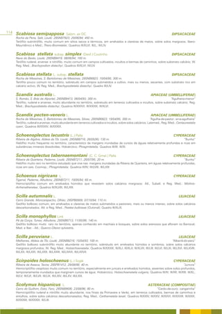 114 Scabiosa semipapposa Salzm. ex DC.                                                                                                DIPSACACEAE
    Rocha da Pena, Salir, Loulé; 29SNB7923; 20/06/94; 450 m.
    Terófito subnitrófilo, muito comum em sítios secos e térmicos, em arrelvados e clareiras de matos, sobre solos margosos; Ibero-
    Mauritânico e Med.; Thero-Brometalia; Quadros III/XLVI; III/L; III/LIV.


    Scabiosa stellata subsp. simplex (Desf.) Coutinho                                                                                 DIPSACACEAE
    Nave do Barão, Loulé; 29SNB8419; 08/06/94; 160 m.
    Terófito ruderal, arvense e nitrófilo, muito comum em campos cultivados, incultos e bermas de caminhos, sobre substrato calcário; W.
    Reg. Med.; Brachypodion distachyi; Quadros III/XLVI; III/LIV.


    Scabiosa stellata L. subsp. stellata                                                                                              DIPSACACEAE
    Rocha de Messines, S. Bartolomeu de Messines; 29SNB6823; 10/04/95; 300 m.
    Terófito pouco comum no território, sobretudo em campos submetidos a cultivo, mais ou menos, secantes, com substrato rico em
    calcário activo; W. Reg. Med.; Brachypodietalia distachyi; Quadro III/LIV.


    Scandix australis L.                                                                                            APIACEAE (UMBELLIFERAE)
    S. Romão, S. Brás de Alportel; 29SNB9413; 06/04/93; 300 m.                                                          “Agulheira-menor”
    Terófito, ruderal e arvense, muito abundante no território, sobretudo em terrenos cultivados e incultos, sobre substrato calcário; Reg.
    Med.; Brachypodietalia distachyi; Quadros III/XXXVI; III/XXXIX; III/XLVI.


    Scandix pecten-veneris L.                                                                                       APIACEAE (UMBELLIFERAE)
    Rocha de Messines, S. Bartolomeu de Messines, Silves; 29SNB6823; 19/04/95; 300 m.                        “Agulha-de-pastor; erva-agulheira”
    Terófito, ruderal e arvense, muito abundante em terrenos cultivados e incultos, sobre solos calcários; Latemed., Reg. Med.; Centaureetalia
    cyani; Quadros III/XXXIV; III/XXXIX.


    Schoenoplectus lacustris (L.) Palla                                                                                                CYPERACEAE
    Ribeira de Algibre, Aldeia da Tôr, Loulé; 29SNB8716; 26/05/95; 130 m.                                                    “Bunho”
    Helófito muito frequente no território, característico de margens inundadas de cursos de águas relativamente profundas e ricas em
    substâncias minerais dissolvidas; Holoárctico; Phragmitetalia; Quadros III/III; III/XI.


    Schoenoplectus tabernaemontani                               (C. C. Gmel.) Palla                                                   CYPERACEAE
    Ribeira de Quarteira, Paderne, Loulé; 29SNB7211; 26/07/95; 20 m.                                                            “Bunho”
    Helófito muito raro no território estudado que vive nas margens inundadas da Ribeira de Quarteira, em águas relativamente profundas,
    ricas em sais. Cosmop.; Phragmitetalia; Quadros III/IV; III/LVIII; III/LXIX


    Schoenus nigricans                  L.                                                                                             CYPERACEAE
    Tigarral, Paderne, Albufeira; 29SNB7211; 19/05/94; 60 m.
    Hemicriptófito comum em arrelvados húmidos que revestem solos calcários margosos; Atl., Subatl. e Reg. Med.; Molinio-
    Arrhenatheretea; Quadros III/XLVIII; III/LXIII.


    Scilla autumnalis L.                                                                                                                    LILIACEAE
    Cerro Grande, Moncarapacho, Olhão; 29SPB0909; 07/10/94; 110 m.
    Geófito bolboso comum, em arrelvados e clareiras de matos submetidos a pastoreio, mais ou menos intenso, sobre solos calcários
    descarbonatados; Atl. e Reg. Med.; Poetea bulbosae (Outonal); Quadro III/XLIX.


    Scilla monophyllos Link                                                                                                                 LILIACEAE
    Pé da Corça; Tunes; Albufeira; 29SNB6713; 11/05/96; 140 m.
    Geófito bolboso muito raro no território, apenas conhecido em machiais e bosques, sobre solos arenosos que afloram no Barrocal;
    Med. e Iber. - Atl.; Querco-Oleion sylvestris.


    Scilla peruviana L.                                                                                                                     LILIACEAE
    Melhanes, Aldeia da Tôr, Loulé; 29SNB8216; 15/04/93; 100 m.                                                                      “Albarrâ-do-perú”
    Geófito bolboso subnitrófilo muito abundante no território, sobretudo em arrelvados húmidos e sombrios, sobre solos calcários
    margosos profundos; W. Reg. Med.; Holoschoenetalia; Quadros III/XXXIX; III/XLI; III/XLII; III/XLVII; III/LIII; III/LVI; III/LXI; III/LXVI; III/LXVIII;
    III/LXX; III/LXXI; III/LXXII; III/LXXIII; III/LXXVI; III/LXXVII.


    Scirpoides holoschoenus (L.) Soják                                                                                                 CYPERACEAE
    Ribeira da Asseca, Tavira; 29SPB1412; 29/08/96; 40 m.                                                                        “Juncos”
    Hemicriptófito cespitoso muito comum no território, especialmente em juncais e arrelvados húmidos, assentes sobre solos profundos,
    temporariamente inundados que marginam cursos de água; Holoárctico; Holoschoenetalia vulgaris; Quadros III/XI; III/XII; III/XIII; III/XL;
    III/LV; III/LVI; III/LVII; III/LIX; III/LXIV; III/LXV; III/LXIX.


    Scolymus hispanicus                      L.                                                                   ASTERACEAE (COMPOSITAE)
    Cerro do Guilhim, Estoi, Faro; 29SNB9606; 23/08/96; 80 m.                                                 “Cardo-de-ouro; cangarinha”
    Hemicriptófito ruderal e nitrófilo muito abundante, nos finais da Primavera e Verão, em terrenos cultivados, bermas de caminhos e
    entulhos, sobre solos calcários descarbonatados; Reg. Med.; Carthametalia lanati; Quadros III/XXIV; III/XXV; III/XXVI; III/XXVIII; III/XXIX;
    III/XXXIII; III/XXXIX; III/LIII.

    A FLORA
 