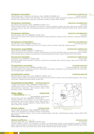 Scolymus maculatus                      L.                                                                          ASTERACEAE (COMPOSITAE)                      115
Várzea de Beneciate; S. Bartolomeu de Messines; Silves; 29SNB6120; 20/08/96; 80 m.                              “Escólimo-malhado”
Hemicriptófito ruderal e nitrófilo muito abundante, nos finais da Primavera e Verão, em terrenos cultivados, bermas de caminhos e
entulhos, sobre substrato básico; Reg. Med.; Onopordion castellani; Quadros III/XXV; III/XXVIII.


Scorpiurus muricatus L.                                                                                               FABACEAE (LEGUMINOSAE)
Cerro Grande, Moncarapacho, Olhão; 29SPB0909; 07/10/94; 110 m.                                                                    “Cornichão”
Terófito ruderal e arvense muito abundante no território em terrenos cultivados, clareiras de matos e bermas de caminhos, sobre
substratos calcários; Reg. Med.; Brachypodietalia distachyi; Quadros III/XXXIV; III/XXXVII; III/XXXVIII; III/XXXIX; III/XLV; III/XLVI; III/XLIX;
III/L; III/LIV.


Scorpiurus sulcatus L.                                                                                                FABACEAE (LEGUMINOSAE)
Cerro do Guilhim, Estoi, Faro; 29SNB9506; 28/04/93; 200 m.                                                             “Cornichão”
Terófito ruderal e arvense muito frequente que apresenta ecologia semelhante à espécie anterior; Reg. Med.; Taeniathero-Aegilopion
geniculatae.


Scorpiurus vermiculatus L.                                                                                            FABACEAE (LEGUMINOSAE)
Cerro dos Fatos, Loulé; 29SNB8209; 18/05/94; 80 m.                                                           “Cornichão-esponjoso”
Terófito ruderal, arvense e nitrófilo muito comum em incultos e campos cultivados; Reg. Med.; Poetalia bulbosae.


Scorzonera angustifolia                      L.                                                                     ASTERACEAE (COMPOSITAE)
Tigarral, Paderne, Albufeira; 29SNB7211; 19/05/94; 60 m.                                                                      “Escorcioneira”
Proto-Hemicriptófito muito frequente no território, particularmente nos sítios de escorrência hidrica, em clareiras de matos e tomilhais,
sobre substrato calcário margoso; Ibero-Mauritânico; Brachypodietalia phoenicoidis; Quadros III/XLVII; III/LIII; III/LIV; III/LXII.

Scorzonera laciniata                   L.                                                                           ASTERACEAE (COMPOSITAE)
Amendoeira; Loulé; 29SNB9115; 14/05/93; 200 m.                                                                         “Escorcioneira”
Proto-Hemicriptófito pouco frequente no território, característico de arrelvados sobre substrato calcário; Reg. Eurosib. e Reg. Med.;
Thero-Brometalia.


Scrophularia auriculata L.                                                                                                     SCROPHULARIACEAE
Fonte Filipe, Amendoeira, Loulé; 29SNB9215; 03/04/94; 170 m.                                 “Erva-das-escaldadelas; escrófulária”
Caméfito herbáceo pouco frequente no território, característico das margens inundadas de cursos de águas lentas; Atl. e Reg. Med.;
Convolvuletalia sepium; Quadro III/XIV.


Scrophularia canina L.                                                                                                         SCROPHULARIACEAE
Ribeira das Mercês, Aldeia da Tôr, Loulé; 29SNB8716; 24/02/94; 130 m.
Caméfito ruderal e nitrófilo muito frequente em bermas de caminhos, entulhos e incultos, sobre solos calcários argilosos; Reg. Eurosib.
e Reg. Med.; Phagnalo-Rumicetea indurati; Quadro III/XL.


Scrophularia sambucifolia L.                      SCROPHULARIACEAE
S. Miguel, Moncarapacho, Olhão; 29SPB0306; 12/04/93; 400 m.
Caméfito pouco comum, no território, que vive em sítios húmidos,
temporariamente encharcados, sobre substrato calcário; Íbero-
Mauritânico e Med.; Holoschoenetalia.


Sedum album                                               CRASSULACEAE
var. micranthum (Bast.) DC.
                                      “Arroz-dos-telhados; pinhões-de-rato”
Rocha de Pena, Salir, Loulé; 29SNB8024; 22/07/94; 360 m.
Caméfito herbáceo muito frequente em comunidades pioneiras
xerotermófilas, sobre rochas calcárias cársicas; Reg. Eurosib. e
Reg. Med.; Sedion micrantho-sediformis; Quadros III/XXIII; III/XLI;
III/XLV; III/XLIX; III/LI; III/LXXIV.


Sedum rubens L.                              CRASSULACEAE            Fig. II/1.38 - Distribuição virtual de Scrophularia
Cerro da Cabeça, Moncarapacho, Olhão; 29SNB0808; 10/05/95; 200 m.                       sambucifolia L.
Terófito muito abundante em arrelvados pioneiros xero-termófilos
que vivem em litossolos calcários, mais ou menos, descarbonatados; Reg. Med.; Helianthemetea guttatae; Quadros III/XVII; III/XX;
III/XLV; III/XLVI.
Planta nova para o Barrocal.


Sedum sediforme                   (Jacq.) Pau                                                                                         CRASSULACEAE
Rocha dos Soidos, Alte, Loulé: 29SNB7523; 06/07/93; 440 m.                                                                                 “Erva-pinheira”
Caméfito herbáceo, robusto, muito abundante, no território, em afloramentos rochosos e solos pedregosos calcários; Latemed.;
Sedion micrantho-sediformis; Quadros III/XVII; III/XVIII; III/XX; III/XXI; III/XXII; III/XXIII; III/XXIV; III/XXVI; III/XXXVII; III/XXXVIII; III/XLI; III/XLV;
III/XLVI; III/XLIX; III/L; III/LI; III/LII; III/LIII; III/LIV; III/LXI; III/LXIII; III/LXXIII; III/LXXIV; III/LXXV; III/LXXVI.


                                                                                                                                                       A FLORA
 