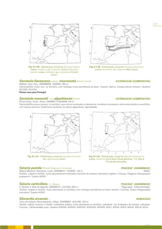 117




          Fig. II/1.39 - Distribuição virtual de Serratula baetica                Fig. II/1.40 - Distribuição virtual de Serratula flavescens
            subsp. lusitanica var. lusitanica Cantó e Serratula                          subsp. leucantha var. neglecta (Iljin) Cantó.
            baetica subsp. lusitanica var. sampaiana (Cantó)
                                   Cantó.


Serratula flavescens subsp. mucronata (Desf.) Cantó                                                               ASTERACEAE (COMPOSITAE)
Malhão, Estoi, Faro; 29SNB9808; 18/05/96; 280 m.
Hemicriptófito muito raro, no território, com ecologia muito semelhante ao taxon anterior. Ibérico; Eryngio-Ulicion erinacei; Quadros
III/LXXIII; III/LXXVI.
Planta nova para Portugal.


Serratula monardii                 var.   algarbiensis Cantó                                                      ASTERACEAE (COMPOSITAE)
Pé-da Corça; Tunes; Silves; 29SNB6713;05/04/96;140 m.
Hemicriptófito pouco comum, no território, que vive em arrelvados e clareiras de tomilhais e carrascais, sobre solos ácidos a neutrófilos,
com textura arenosa; Endemismo exclusivo do sector algarviense; Agrostietalia.




         Fig. II/1.41 - Distribuição virtual de Serratula monardii                Fig. II/1.42 - Distribuição virtual de Sideritis arborescens
                          var. algarbiensis Cantó.                                subsp. lusitanica (Font Quer) Rivas-Martínez, T.E. Díaz &
                                                                                                      Fernández-González.


Setaria pumila (Poiret) Roemer & Schultes                                                                               POACEAE (GRAMINEAE)
Ribeira Menaval, Querença, Loulé; 29SNB8817; 15/09/95; 130 m.                                                              ”Milhã”
Terófito, ruderal e nitrófilo, muito abundante em arrelvados húmidos de campos cultivados irrigados; Cosmop; Polygono-Chenopodion
polyspermi; Quadro III/XXX.


Setaria verticillata              (L.) Beauv.                                                                           POACEAE (GRAMINEAE)
S. Romão, S. Brás de Alportel; 29SNB9413; 12/12/94; 290 m.                                              “Pega-saias; milhã-verticilada”
Terófito, ruderal e nitrófilo, muito abundante no território com ecologia semelhante ao taxon anterior; Cosmop. Solano-Polygonetalia
convolvuli; Quadro III/XXX.


Sherardia arvensis L.                                                                                                                     RUBIACEAE
Cerro da Cabeça, Moncarapacho, Olhão; 29SPB0807; 02/01/95; 220 m.
Terófito ruderal, arvense e nitrófilo, indiferente edáfico muito abundante no território, sobretudo em arrelvados de campos cultivados.
Cosmop.; Centaureetalia cyani; Quadros III/XXXIV; III/XXXVI; III/XXXVII; III/XXXVIII; III/XXXIX; III/XLI; III/XLIII; III/XLV; III/XLVI; III/XLIX; III/LIII.




                                                                                                                                                    A FLORA
 
