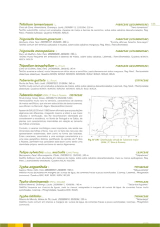 Trifolium tomentosum                  L.                                                            FABACEAE (LEGUMINOSAE)                125
Cerro da Zorra, Amendoeira, Querença, Loulé; 29SNB9115; 22/03/94; 220 m.                                       “Trevo tomentoso”
Terófito subnitrófilo, comum em arrelvados, clareiras de matos e bermas de caminhos, sobre solos calcários descarbonatados; Reg.
Med.; Poetalia bulbosae; Quadros III/XXXIX; III/XLIX.


Trigonella foenum-graecum L.                                                                        FABACEAE (LEGUMINOSAE)
Azinheiro, Estoi, Faro; 29SPB0107; 05/04/95; 300 m.                                        “Ervinha, alforvas, fenacho, feno-negro”
Terófito comum em terrenos cultivados e incultos, sobre solos calcários margosos; Reg. Med.; Thero-Brometalia.


Trigonella monspeliaca                 L.                                                           FABACEAE (LEGUMINOSAE)
Cerro do Guilhim, Estoi, Faro; 29SNB9406; 28/04/93; 100 m.
Terófito muito frequente em arrelvados e clareiras de matos, sobre solos calcários. Latemed.; Thero-Brometalia; Quadros III/XXXV;
III/XLV; III/XLIX.


Tripodion tetraphyllum (L.) Fourr.                                                                  FABACEAE (LEGUMINOSAE)
Cerro do Guilhim, Estoi, Faro; 29SNB9606; 28/04/93; 80 m.
Terófito arvense e ruderal, muito frequente em sítios secos e termófilos, particularmente em solos margosos; Reg. Med.; Trachynietalia
distachyae distachyae; Quadros III/XXIV; III/XXVI; III/XXXVII; III/XXXVIII; III/XLV; III/XLVI; III/XLIX; III/LIV.


Tuberaria guttata            (L.) Fourr.                                                                                 CISTACEAE
Rocha da Pena, Salir, Loulé; 29SNB7923; 01/06/94; 340 m.
Terófito muito comum em arrelvados e clareiras de matos, sobre solos calcários descarbonatados; Latemed., Reg. Med.; TTrachynietalia
distachyae; Quadros III/XXVI; III/XXXIV; III/XXXVI; III/XXXVII; III/XLIV; III/LV; III/XLIX.


Tuberaria major (Willk.) P Silva & Rozeira
                          .                           CISTACEAE
Pé-da Corça; Tunes; Silves; 295NB6713;05/04/96;140m.
Hemicriptófito muito raro no território, característico de clareiras
de matos xerófiticos, que vive em solos ácidos de textura arenosa,
que afloram no Barrocal; Algarv. Stauracanthion boivinii.

Apesar de GALLEGO et al. (1993) terem afirmado que as populações
algárvicas são diferentes, chegando mesmo a referir a sua maior
robustez e ramificação, não lhe reconheceram identidade por
considerarem a existência, no Norte de Portugal e na Galiza, de
plantas com características intermédias em relação ao tamanho
das folhas e brácteas.

Contudo, o caracter morfológico mais importante, não reside nas
dimensões das folhas e flores, mas sim no facto das nervuras não
apresentarem anastmoses, bem como na forma das brácteas.
Estes caracteres, associados a uma ecologia característica e a
uma área geográfica distinta, partilhando da opinião de P Silva
                                                           .           Fig. II/1.46 - Distribuição virtual de Tuberaria major
& Rozeira, permitem-nos considerar este taxon como tendo uma                          (Willk.) P. Silva & Rozeira.
identidade própria, sendo exclusiva do sector Algarviense.


Tulipa sylvestris subsp. australis (Link) Pamp.                                                                           LILIACEAE
Barroqueiro, Peral, Moncarapacho, Olhão; 29SPB0310; 15/03/93; 160 m.                                            “Tulipa-brava”
Geófito bolboso muito abundante em clareiras de matos, sobre solos calcários descarbonatados, mais ou menos pedregosos; Reg.
Med.; Lavanduletalia stoechadis; Quadros III/LXI; III/LXXIII.


Typha angustifolia L.                                                                                                   TYPHACEAE
Lagos e Relva, Estoi, Faro; 29SNB9507; 29/08/96; 160 m.                                                       “Tábua-estreita”
Helófito muito abundante em margens de cursos de água, de correntes fracas e pouco eutrofizadas. Cosmop. Latemed.; Phragmition
communis. Quadros III/IV; III/XI; III/XIII; III/XIV; III/LVIII.


Typha domingensis (Pers.) Steudel                                                                                       TYPHACEAE
Ribeira Menaval, Querença, Loulé; 29SNB8817; 10/06/94; 140 m.                                      “Tabúa-dos-foguetes”
Helófito frequente em charcos de águas, mais ou menos, estagnadas e margens de cursos de água, de correntes fracas muito
eutrofizadas; Cosmop.; Phragmitetalia; Quadros III/XI; III/LVII.


Typha latifolia L.                                                                                                      TYPHACEAE
Ribeira de Mercês, Aldeia de Tôr, Loulé; 29SNB8616; 05/06/94; 120 m.                                          “Tabúa-larga”
Helófito muito comum em charcos e margens de cursos de água, de correntes fracas e pouco eutrofizadas; Cosmop.; Phragmition
communis.




                                                                                                                                A FLORA
 