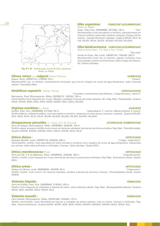 126                                                                                   Ulex argenteus                       FABACEAE (LEGUMINOSAE)
                                                                                      Welw. ex Webb.
                                                                                      Costa , Estoi, Faro; 29SNB9906; 20/10/95; 140 m.                       “Tojo”
                                                                                      Nanofanerófito muito abundante no território, particularmente em
                                                                                      matos e tomilhais, sobre solos calcários margosos; Eryngio-Ulicion
                                                                                      erinacei - Saturejo-Thymbrion capitatae; Quadros III/XLIV; III/LII; III/
                                                                                      LXII; III/LXIII; III/LXX; III/LXXI; III/LXXIII; III/LXXVI; III/LXXVII.


                                                                                      Ulex latebracteatus FABACEAE (LEGUMINOSAE)
                                                                                      (Mariz) Rivas Mart., T.E. Díaz & Fern. Prieto
                                                                                                                                            “Tojo arnal”
                                                                                      Quinta do Freixo, Salir, Loulé; 29SNB7724; 10/03/94; 260 m.
                                                                                      Nanofanerófito muito raro no território, apenas conhecido numa
                                                                                      única estação, próximo do limite Norte, sobre margas do triássico;
                                                                                      Atl. (Calluno-Ulicetea).

                  Fig. II/1.47 - Distribuição virtual de Ulex argenteus
                                      Welw. ex Webb.

      Ulmus minor var. vulgaris (Aiton) Richens                                                                                                   ULMACEAE
      Asseca, Tavira; 29SPB1412; 27/09/95; 50 m.                                                                              “Ulmeiro”
      Mesofanerófito raro, no território, possivelmente introduzido, que vive em margens de cursos de água temporários, sobre substrato
      calcário; Populetalia albae.


      Umbilicus rupestris                  (Salisb.) Dandy                                                                                 CRASSULACEAE
                                                                                         “Conchelos; sombreirinhos-dos-telhados; umbigo-de-vénus; calchirro”
      Barroqueiro, Peral, Moncarapacho, Olhão; 29SPB0310; 15/03/93; 160 m.
      Hemicriptófito muito frequente em muros, telhados, cavidades e fissuras de rochas calcárias; Atl. e Reg. Med.; Parietarietalia; Quadros
      III/XVII; III/XVIII; III/XIX; III/XX; III/XXI; III/XXII; III/XXIII; III/XLI; III/XLV; III/LXXIV.


      Urginea maritima (L.) Baker                                                                                                                   LILIACEAE
      Guilhim, Estoi, Faro; 29SNB9606; 07/10/94; 80 m.                                                   “cebola-albarrã; C. marinha; Albarrã ordinária; A. branca”
      Geófito bolboso, indiferente edáfico, muito abundante no território, sobretudo em sítios secos e rochosos. Latemed.; Quadros III/XLVIII;
      III/LII; III/LIII; III/LIV; III/LXI; III/LXII; III/LXIII; III/LXXIII; III/LXXIV; III/LXXV; III/LXXVI; III/LXXVII.


      Urospermum picroides                       (L.) Scop. ex F. W. Schmidt                                             ASTERACEAE (COMPOSITAE)
      Cerro da Cabeça, Moncarapacho, Olhão; 29SPB0807; 05/05/95; 100 m.
      Terófito ruderal, arvense e nitrófilo muito comum em terrenos cultivados, bermas de caminhos e entulhos; Reg. Med.; Thero-Brometalia;
      Quadros III/XXVII; III/XXXV; III/XXXVI; III/XLI; III/XLVI; III/XLVII; III/LIII; III/LIV.


      Urtica dioica L.                                                                                                                          URTICACEAE
      Espargal, Benafim, Loulé; 29SNB7718; 20/05/94; 280 m.                                                    “Urtigão; urtiga-menor”
      Hemicriptófito, nitrófilo, muito abundante em sítios húmidos e sombrios como margens de cursos de água temporários, frequentado
      por animais, sobre solos profundos e nitrificados; Cosmop.; Galio-Urticetea; Quadro III/XLI.


      Urtica membranacea Poiret                                                                                                                 URTICACEAE
      Cerro da Chã; S. B. de Messines; Silves; 29SNB6923; 26/04/96; 300 m.                                                “Urtiga-de-caudas”
      Terófito, nitrófilo, muito frequente em muros, bermas de caminhos e outros locais nitrificados; Reg. Med.; Smyrnienion olusatri; Quadro
      III/XLI.


      Urtica urens L.                                                                                                                           URTICACEAE
      Cabeço da Câmara, Loulé; 29SNB8208; 16/03/95; 90 m.                                                              “Urtiga-menor”
      Terófito, nitrófilo, muito comum em terrenos cultivados, entulhos e bermas de caminhos. Cosmop.; Chenopodietalia muralis. Quadro
      III/XXXII.


      Valantia hispida L.                                                                                                                         RUBIACEAE
      Cerro do Guilhim, Estoi, Faro; 29SNB9406; 01/05/93; 200 m.
      Terófito muito frequente em arrelvados e clareiras de matos, sobre substrato calcário. Reg. Med.; Brachypodietalia distachyi; Quadros
      III/XVII; III/XX; III/XXXIX; III/XLV; III/XLVI; III/LII.


      Valantia muralis L.                                                                                                                         RUBIACEAE
      Cerro Grande, Moncarapacho, Olhão; 29SPB1009; 15/04/93; 170 m.
      Terófito, escionitrófilo, muito abundante em fissuras e cavidades de rochas calcárias, mais ou menos, terrosas e nitrificadas; Reg.
      Med.; Geranio-Anthriscion; Quadros III/XVII; III/XVIII; III/XX; III/XXI; III/XXII; III/XXXVI; III/XXXVII; III/XXXIX; III/XLV; III/XLVI; III/LI.




      A FLORA
 