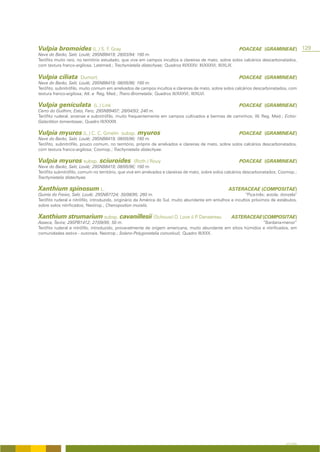 Vulpia bromoides (L.) S. F. Gray                                                                          POACEAE (GRAMINEAE)                129
Nave do Barão, Salir, Loulé; 29SNB8419; 28/03/94; 160 m.
Terófito muito raro, no território estudado, que vive em campos incultos e clareiras de mato, sobre solos calcários descarbonatados,
com textura franco-argilosa; Latemed.; Trachynietalia distachyae; Quadros III/XXXV; III/XXXVI; III/XLIX.

Vulpia ciliata        Dumort.                                                                             POACEAE (GRAMINEAE)
Nave do Barão, Salir, Loulé; 29SNB8419; 08/05/96; 160 m.
Terófito, subnitrófilo, muito comum em arrelvados de campos incultos e clareiras de mato, sobre solos calcários descarbonatados, com
textura franco-argilosa; Atl. e Reg. Med.; Thero-Brometalia; Quadros III/XXXVI; III/XLVI.

Vulpia geniculata            (L.) Link                                                                    POACEAE (GRAMINEAE)
Cerro do Guilhim, Estoi, Faro; 29SNB9407; 28/04/93; 240 m.
Terófito ruderal, arvense e subnitrófilo, muito frequentemente em campos cultivados e bermas de caminhos; W. Reg. Med.; Echio-
Galactition tomentosae; Quadro III/XXXIII.

Vulpia myuros (L.) C. C. Gmelin             subsp.   myuros                                               POACEAE (GRAMINEAE)
Nave do Barão, Salir, Loulé; 29SNB8419; 08/05/96; 160 m.
Terófito, subnitrófilo, pouco comum, no território, próprio de arrelvados e clareiras de mato, sobre solos calcários descarbonatados,
com textura franco-argilosa; Cosmop.; Trachynietalia distachyae.

Vulpia myuros subsp. sciuroides                   (Roth.) Rouy                                            POACEAE (GRAMINEAE)
Nave do Barão, Salir, Loulé; 29SNB8419; 08/05/96; 160 m.
Terófito subnitrófilo, comum no território, que vive em arrelvados e clareiras de mato, sobre solos calcários descarbonatados; Cosmop.;
Trachynietalia distachyae.

Xanthium spinosum L.                                                                                ASTERACEAE (COMPOSITAE)
Quinta do Freixo, Salir, Loulé; 29SNB7724; 30/08/95; 260 m.                                                  “Pica-três; arzola; donzela”
Terófito ruderal e nitrófilo, introduzido, originário da América do Sul, muito abundante em entulhos e incultos próximos de estábulos,
sobre solos nitrificados; Neotrop.; Chenopodion muralis.

Xanthium strumarium subsp. cavanillesii (Schouw) D. Love & P. Dansereau                               ASTERACEAE (COMPOSITAE)
Asseca, Tavira; 29SPB1412; 27/09/95; 50 m.                                                                      “Bardana-menor”
Terófito ruderal e nitrófilo, introduzido, provavelmente de origem americana, muito abundante em sítios húmidos e nitrificados, em
comunidades estivo - outonais. Neotrop.; Solano-Polygonetalia convolvuli; Quadro III/XXX.




                                                                                                                                   A FLORA
 