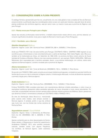 131
2.3 - CONSIDERAÇÕES SOBRE A FLORA PRESENTE

O catálogo florístico apresentado permite-nos, actualmente, ter uma visão global e mais completa da flora do Barrocal,
proporcionando e justificando algumas considerações sobre os taxa com particular interesse, seja pelo facto de serem
plantas endémicas dos territórios algarvios, seja por serem raras, ou mesmo novas para a província do Algarve e até
para Portugal.

2.3.1 - Plantas novas para Portugal e para a Região

Apesar dos estudos já efectuados neste território, o trabalho desenvolvido nestes últimos anos, permitiu detectar um
conjunto significativo de plantas novas para a região do Barrocal e mesmo para a Flora Portuguesa.

2.3.2.1 - Novidades para o Barrocal

Abutilon theophrasti Medicus
Espécime: Algarve: Loulé: Salir: Quinta do Freixo: 29SNB7724, 260 m, 30/08/95, C. Pinto-Gomes.

Ainda que FRANCO (1971) não cite este terófito para Portugal, COUTINHO (1939) e SAMPAIO (1988) registam já sua
ocorrência para a Estremadura e mais concretamente para a Lezíria da Azambuja. Além desta Região, esta MALVACEAE
também já foi herborizada por Alves, em Setembro de 1992 (COI), na província da Beira Litoral, próximo de Soure
(estrada de Condeixa a Alfarelos). Mesmo nos mais recentes estudos (cf., por exemplo, PAIVA & NOGUEIRA, 1993) esta
Malvaceae não é assinalada para o território estudado. Assim, a sua recente herborização, em cultivos, sobre solos
argilosos do Barrocal algarvio, constitui novidade para a província do Algarve.


Alisma lanceolatum With.
Espécime: Algarve: Loulé: Salir: Fonte da Benémola: 29SNB8818, 150 m, 30/06/94, C. Pinto-Gomes.

De acordo com FRANCO (1994) e após consulta aos principais herbários portugueses, constatámos que este hidrófito da
família das ALISMATACEAE não é conhecido no Algarve calcário. A herborização efectuada na fonte da Benémola representa
a primeira citação para o Barrocal algarvio.


Arabis lusitanica Boiss.
Espécime: Algarve: Loulé: Salir: Rocha da Pena: 29SNB9809, 110 m, 13/04/94, C. Pinto-Gomes.

Embora TALAVERA (1993) considere este taxon com características idênticas à Arabis planisiliqua, o certo é que os
exemplares lusitânicos apresentam pêlos estrelados aplicados de menor dimensão e muito menos abundantes. Por
outro lado, as populações nacionais ocorrem sempre sobre substrato calcário e próximo do Atlântico. Assim, parece-nos
que devemos manter a nomenclatura utilizada por COUTINHO (1939) e FRANCO (1971).

Da área de distribuição desta BRASSICACEA, mencionada
pelos autores atrás citados, está sempre excluído o
Barrocal algarvio. A verdade, porém, é que ela, embora
seja muito rara, vive nas fendas das rochas calcárias da
Rocha da Pena.


Argyrolobium zanonii (Turra) P.W.Ball
Espécime: Algarve: Silves: S. Bartolomeu de Messines:
Cerro da chã: 29SNB6923, 300 m, 26/04/95, C. Pinto-
Gomes.

Apenas conhecido para os sítios descampados do Centro-
Oeste calcário e Olisiponense e Centro-Sul setentrional e
Arrabidense (FRANCO, 1971), este caméfito prostrado,
calcícola, também existe, com alguma frequência,
nos tomilhais, do Barrocal algarvio, sobre substratos
                                                             Foto II/3.1 – Argyrolobium zanonii (Turra) P.W.Ball.
margosos.


                                                                                                                    A FLORA
 