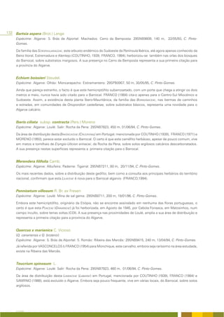 132 Bartsia aspera (Brot.) Lange
     Espécime: Algarve: S. Brás de Alportel: Machados: Cerro da Bemposta: 29SNB9809, 140 m, 22/05/93, C. Pinto-
     Gomes.

     Da família das SCROPHULARIACEAE, este arbusto endémico do Sudoeste da Península Ibérica, até agora apenas conhecido da
     Beira litoral, Estremadura e Alentejo (COUTINHO, 1939; FRANCO, 1984), herborizou-se também nas orlas dos bosques
     do Barrocal, sobre substratos margosos. A sua presença no Cerro da Bemposta representa a sua primeira citação para
     a província do Algarve.


     Echium boissieri Steudel.
     Espécime: Algarve: Olhão: Moncarapacho: Estiramantens: 29SPB0907, 50 m, 30/05/95, C. Pinto-Gomes.

     Ainda que pareça estranho, o facto é que este hemicriptófito subarrosetado, com um porte que chega a atingir os dois
     metros e meio, nunca havia sido citado para o Barrocal. FRANCO (1984) cita-o apenas para o Centro-Sul Miocénico e
     Sudoeste. Assim, a existência desta planta Íbero-Mauritânica, da família das BORAGINACEAE, nas bermas de caminhos
     e estradas, em comunidades de Onopordion castellanae, sobre substratos básicos, representa uma novidade para o
     Algarve calcário.


     Iberis ciliata subsp. contracta (Pers.) Moreno
     Espécime: Algarve: Loulé: Salir: Rocha da Pena: 29SNB7823, 450 m, 01/06/94, C. Pinto-Gomes.

     Da área de distribuição desta BRASSICACEAE (CRUCIFERAE) em Portugal, mencionada por COUTINHO (1939), FRANCO (1971) e
     MORENO (1993), parece estar excluído o Barrocal. O certo é que este caméfito herbáceo, apesar de pouco comum, vive
     em matos e tomilhais de Eryngio-Ulicion erinacei, da Rocha da Pena, sobre solos argilosos calcários descarbonatados.
     A sua presença nestas superfícies representa a primeira citação para o Barrocal.


     Merendera filifolia Camb.
     Espécime: Algarve: Albufeira: Paderne: Tigarral: 29SNB7211, 80 m, 20/11/94, C. Pinto-Gomes.

     Os mais recentes dados, sobre a distribuição deste geófito, bem como a consulta aos principais herbários do território
     nacional, confirmam que esta LILIACEAE é nova para o Barrocal algarvio (FRANCO,1994).


     Pennisetum villosum R. Br. ex Fresen
     Espécime: Algarve: Loulé: Mina de sal gema: 29SNB8711, 200 m, 19/01/96, C. Pinto-Gomes.

     Embora este hemicriptófito, originário da Etiópia, não se encontre assinalado em nenhuma das floras portuguesas, o
     certo é que esta POACEAE (GRAMINEAE) já foi herborizada, em Agosto de 1945, por Cebola Fonseca, em Matosinhos, num
     campo inculto, sobre terras soltas (COI). A sua presença nas proximidades de Loulé, amplia a sua área de distribuição e
     representa a primeira citação para a província do Algarve.


     Quercus x marianica C. Vicioso
     (Q. canariensis x Q. broteroi)
     Espécime: Algarve: S. Brás de Alportel: S. Romão: Ribeira das Mercês: 29SNB9415, 240 m, 13/04/94, C. Pinto-Gomes.
     Já referida por VASCONCELOS & FRANCO (1954) para Monchique, este carvalho, embora seja raríssimo na área estudada,
     existe na Ribeira das Mercês.


     Teucrium spinosum L.
     Espécime: Algarve: Loulé: Salir: Rocha da Pena: 29SNB7923, 460 m, 01/06/94, C. Pinto-Gomes.

     Da área de distribuição desta LAMIACEAE (LABIATAE) em Portugal, mencionada por COUTINHO (!939), FRANCO (1984) e
     SAMPAIO (1988), está excluído o Algarve. Embora seja pouco frequente, vive em várias locais, do Barrocal, sobre solos
     argilosos.




     A FLORA
 