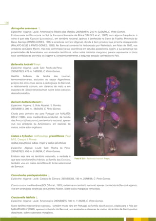 136

      Astragalus sesameus L.
      Espécime: Algarve: Loulé: Amendoeira: Ribeira das Mercês: 29SNB9415, 240 m, 02/05/95, C. Pinto-Gomes.
      Embora este terófito ocorra no Sul da Europa e Noroeste de África (VALDÉS et al., 1987), com alguma frequência, o
      certo é que esta FABACEAE (LEGUMINOSAE), em território nacional, apenas é conhecida na Serra de Ficalho, Província do
      Baixo Alentejo (PINTO-GOMES, 1995) e arredores de Faro (Algarve), donde é bem provável que já tenha desaparecido
      (MALATO-BELIZ & PINTO-GOMES, 1992). No Barrocal somente foi herborizado por Welwitsch, em Maio de 1847, nos
      arredores de Castro Marim, mas não confirmada na sua ocorrência em estudos posteriores. Assim, a sua presença nas
      proximidades da Amendoeira, em arrelvados terofíticos, sobre solos calcários margosos, parece representar o único
      local conhecido da província do Algarve e, concomitantemente, a segunda estação conhecida no País.


      Bellevalia hackelii Freyn
      Espécime: Algarve: Loulé: Salir: Rocha da Pena:
      29SNB7923, 470 m, 14/03/95, C. Pinto-Gomes.

      Geófito    bolboso,     da    família   das    LILIACEAE,
      termomediterrâneo, exclusivo do sector Algarviense,
      próprio dos sítios mais secos e pedregosos do Barrocal,
      é relativamente comum, em clareiras de mato e em
      espartais de Stipion tenacissimae, sobre solos calcários
      descarbonatados.


      Bunium bulbocastanum L
      Espécime: Algarve: S. Brás Alportel: S. Romão:
      29SNB9413, 300 m, 06/04/93, C. Pinto-Gomes.

      Citada pela primeira vez para Portugal por MALATO-
      BELIZ (1986), esta mediterrânica-ocidental, da família
      das APIACEAE (UMBELLIFERAE), em território nacional, apenas
      vive nos arredores da Amendoeira, em clareiras de
      matos, sobre solos argilosos.


      Cistus x hybridus nothosubsp. grandiflorus (Pau)
      M.B. Crespo & Mateo
      (Cistus populifolius subsp. major x Cistus salviifolius)

      Espécime: Algarve: Loulé: Salir: Rocha da Pena:
      29SNB7823, 450 m, 01/06/94, C. Pinto-Gomes.

      Embora seja rara no território estudado, a verdade é
                                                                    Foto II/3.6 – Bellevalia hackelii Freyn.
      que este nanofanerófito híbrido, da família das CISTACEAE,
      também vive em matos termófilos do limite setentrional
      do Barrocal.


      Convolvulus pentapetaloides L.
      Espécime: Algarve: Loulé: Cabeço de Câmara: 29SNB8308, 180 m, 20/04/96, C. Pinto-Gomes.

      CONVOLVULACEAE mediterrânea (BOLÒS et al., 1993), raríssima em território nacional, apenas conhecida do Barrocal algarvio,
      vive em arrelvados terofíticos de Cerintho-Fedion, sobre solos margosos removidos.


      Crucianella latifolia L.
      Espécime: Algarve: Loulé: Amendoeira: 29SNB9215, 180 m, 11/05/94, C. Pinto-Gomes.

      Outro terófito mediterrâneo calcícola, também muito raro em Portugal, da família das RUBIACEAE, citado para o País por
      MALATO-BELIZ (1986), apenas conhecido do Barrocal, em arrelvados e clareiras de matos, do âmbito da Brachypodion
      distachyae, sobre substratos margosos.
      A FLORA
 