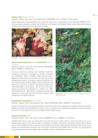 137
Cytinus ruber (Fourr.) Komarov
Espécime: Algarve: Faro: Estoi: Cerro da Bemposta 29SNB9809, 140 m, 14/04/94, C. Pinto-Gomes.
Planta holoparasita, Íbero-Mauritânica, da família das RAFFLESIACEAE, considerada rara em Portugal (FRANCO, 1971).
Ainda que pouco frequente, também vive no Barrocal, em sargaçais de Phlomido-Cistetum albidi, sobre solos argilosos
calcários, descarbonatados, parasitando Cistus albidus.




Foto II/3.7 – Pormenor de Cytinus ruber (Fourr.) Komarov.


Doronicum plantagineum subsp. tournefortii (Rouy)
Coutinho
Espécime: Algarve: Loulé: Salir: Rocha da Pena: 29SNB7823,
450 m, 01/06/94, C. Pinto-Gomes.

ASTERACEAE (COMPOSITAE) endémica dos territórios lusitânicos
meridionais, raríssima e ameaçada de extinção, assinalada
por COUTINHO (1939) e FRANCO (1984) somente para a
região de Colares (Sintra) donde é bem provável que já tenha
desaparecido devido à continuada e agressiva destruição do
seu habitat. Apesar de Bento Rainha, haver herborizado este
Doronicum na encosta do Monte Leite (Malveira-Mafra), em
1944 (LISE-9396), a sua presença não tem sido confirmada,
mesmo em estudos mais recentes (v.g. COSTA et al., 1993;
PINTO DA SILVA et al., 1991). Assim, a sua presença no Barrocal
representa o único local conhecido do Globo terrestre, onde           Foto II/3.8 – Doronicum plantagineum subsp. tournefortii
este geófito rizomatoso ainda vive.                                   (Rouy) Coutinho.



Elaeoselinum tenuifolium (Lag.) Lange
Espécime: Algarve: Olhão: Moncarapacho: de S. Miguel: 29SPB0306, 400 m, 09/06/93, C. Pinto-Gomes.

Embora muito frequente na superfície estudada, sobretudo em sítios secos, pedregosos e insolados, este hemicriptófito
basófilo e termófilo, da família das APIACEAE (UMBELLIFERAE), característico do mediterrâneo ocidental, em território nacional
só ocorre no sector algarviense, em comunidades de Rumicetalia indurati.


Eryngium galioides Lam.
Espécime: Algarve: Loulé: Salir: Nave do Barão: 29SNB8419, 155 m, 10/06/94, C. Pinto-Gomes.

FRANCO (1971) leva a supor que este terófito da família das APIACEAE (UMBELLIFERAE), é muito mais comum do que se
poderia avaliar, dando como área da espécie o Nordeste meridional, Centro-Este e Sudoeste. Todavia, após consulta
aos principais herbários do País e posterior reconhecimento de campo, verifica-se que esta planta, além de ser pouco
frequente, está fortemente ameaçada, face à destruição sistemática do seu habitat. Por outro lado, a sua presença nos
solos temporariamente encharcados da Nave do Barão, constitui novidade para o Barrocal.


                                                                                                                         A FLORA
 