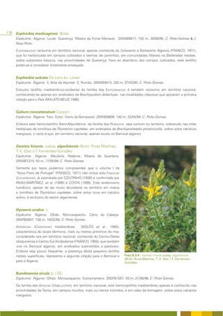138 Euphorbia medicaginea Boiss.
    Espécime: Algarve: Loulé: Querença: Ribeira da Fonte Menaval: 29SNB8817, 150 m, 30/08/95, C. Pinto-Gomes & J.
    Rosa-Pinto.

    EUPHORBIACEAE raríssima em território nacional, apenas conhecida do Sotavento e Barlavento Algarvio (FRANCO, 1971),
    que foi herborizada em campos cultivados e bermas de caminhos, em comunidades filiáveis na Stellarietea mediae,
    sobre substratos básicos, nas proximidades de Querença. Face ao abandono dos campos cultivados, este terófito
    poder-se-à considerar fortemente ameaçado.


    Euphorbia sulcata De Lens ex. Loisel
    Espécime: Algarve: S. Brás de Alportel: S. Romão: 29SNB9413, 320 m, 07/03/95, C. Pinto-Gomes.

    Estoutro terófito mediterrânico-ocidental da família das EUPHORBIACEAE é também raríssimo em território nacional,
    conhecendo-se apenas em arrelvados de Brachypodion distachyae, nas localidades clássicas que apoiaram a primeira
    citação para o País (MALATO-BELIZ,1986).


    Galium concatenatum Cosson
    Espécime: Algarve: Faro: Estoi: Cerro da Bemposta: 29SNB9809, 140 m, 22/05/94, C. Pinto-Gomes.

    Embora este hemicriptófito Íbero-Mauritânico, da família das RUBIACEAE, seja comum no território, sobretudo nas orlas
    herbáceas de tomilhais de Thymbrion capitatae, em arrelvados de Brachypodietalia phoenicoidis, sobre solos calcários
    margosos, o certo é que, em território nacional, apenas existe no Barrocal algarvio.


    Genista hirsuta. subsp. algarbiensis (Brot). Rivas-Martínez,
    T. E. Díaz & F. Fernández-González
    Espécime: Algarve: Albufeira: Paderne: Ribeira de Quarteira:
    29SNB7210, 50 m, 17/05/94, C. Pinto-Gomes.

    Somente por lapso podemos compreender que o volume I da
    “Nova Flora de Portugal” (FRANCO, 1971) não inclua esta FABACEAE
    (LEGUMINOSAE), já assinalada por COUTINHO (1939) e confirmada por
    RIVAS-MARTÍNEZ, et al. (1990) e COSTA (1996). Este endemismo
    lusitânico, apesar de ser muito abundante no território em matos
    e tomilhais de Thymbrion capitatae, sobre solos ricos em calcário
    activo, é exclusivo do sector algarviense.


    Hyoseris scabra L.
    Espécime: Algarve: Olhão: Moncarapacho: Cerro da Cabeça:
    29SPB0807, 100 m, 18/02/94, C. Pinto-Gomes.

    ASTERACEAE (COMPOSITAE) mediterrânea       (BOLÒS et al., 1993),
    característica de locais térmicos, mais ou menos próximos do mar,
    considerada rara em território nacional, conhecida do Centro-Oeste
    olisiponense e Centro-Sul Arrabidense (FRANCO, 1984), que também
    vive no Barrocal algarvio, em arrelvados submetidos a pastoreio.
    Embora seja pouco frequente, a presença deste pequeno terófito
    nestas superfícies, representa a segunda citação para o Barrocal e     Foto II/3.9 – Genista hirsuta subsp. algarbiensis
                                                                           (Brot). Rivas-Martínez, T. E. Díaz & F. Fernández-
    para o Algarve.                                                        González.


    Kundmannia sicula (L.) DC.
    Espécime: Algarve: Olhão: Moncarapacho: Estiramantens: 29SPB1007, 50 m, 21/06/96, C. Pinto-Gomes.

    Da família das APIACEAE (UMBELLIFERAE), em território nacional, este hemicriptófito mediterrâneo apenas é conhecido nas
    proximidades de Tavira, em campos incultos, mais ou menos húmidos, e em valas de drenagem, sobre solos calcários
    margosos.



    A FLORA
 