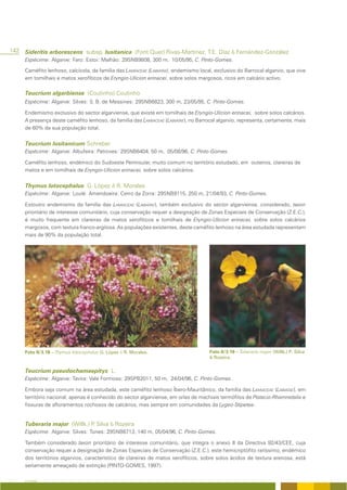 142 Sideritis arborescens subsp. lusitanica (Font Quer) Rivas-Martínez, T.E. Díaz & Fernández-González
     Espécime: Algarve: Faro: Estoi: Malhão: 29SNB9808, 300 m, 10/05/95, C. Pinto-Gomes.

     Caméfito lenhoso, calcícola, da família das LAMIACEAE (LABIATAE), endemismo local, exclusivo do Barrocal algarvio, que vive
     em tomilhais e matos xerofíticos de Eryngio-Ulicion erinacei, sobre solos margosos, ricos em calcário activo.

     Teucrium algarbiense (Coutinho) Coutinho
     Espécime: Algarve: Silves: S. B. de Messines: 29SNB6823, 300 m, 23/05/95, C. Pinto-Gomes.

     Endemismo exclusivo do sector algarviense, que existe em tomilhais de Eryngio-Ulicion erinacei, sobre solos calcários.
     A presença deste caméfito lenhoso, da família das LAMIACEAE (LABIATAE), no Barrocal algarvio, representa, certamente, mais
     de 60% da sua população total.


     Teucrium lusitanicum Schreber
     Espécime: Algarve: Albufeira: Patroves: 29SNB6404, 50 m, 05/08/96, C. Pinto-Gomes.

     Caméfito lenhoso, endémico do Sudoeste Peninsular, muito comum no território estudado, em outeiros, clareiras de
     matos e em tomilhais de Eryngio-Ulicion erinacei, sobre solos calcários.


     Thymus lotocephalus G. López & R. Morales
     Espécime: Algarve: Loulé: Amendoeira: Cerro da Zorra: 29SNB9115, 250 m, 21/04/93, C. Pinto-Gomes.

     Estoutro endemismo da família das LAMIACEAE (LABIATAE), também exclusivo do sector algarviense, considerado, taxon
     prioritário de interesse comunitário, cuja conservação requer a designação de Zonas Especiais de Conservação (Z.E.C.),
     é muito frequente em clareiras de matos xerofíticos e tomilhais de Eryngio-Ulicion erinacei, sobre solos calcários
     margosos, com textura franco-argilosa. As populações existentes, deste caméfito lenhoso na área estudada representam
     mais de 90% da população total.




     Foto II/3.18 – Thymus lotocephalus G. López & R. Morales.                       Foto II/3.19 – Tuberaria major (Willk.) P. Silva
                                                                                     & Rozeira.

     Teucrium pseudochamaepitys L.
     Espécime: Algarve: Tavira: Vale Formoso: 29SPB2011, 50 m, 24/04/96, C. Pinto-Gomes.

     Embora seja comum na área estudada, este caméfito lenhoso Íbero-Mauritânico, da família das LAMIACEAE (LABIATAE), em
     território nacional, apenas é conhecido do sector algarviense, em orlas de machiais termófilos de Pistacio-Rhamnetalia e
     fissuras de afloramentos rochosos de calcários, mas sempre em comunidades da Lygeo-Stipetea.


     Tuberaria major (Willk.) P Silva & Rozeira
                               .
     Espécime: Algarve: Silves: Tunes: 29SNB6713, 140 m, 05/04/96, C. Pinto-Gomes.

     Também considerado taxon prioritário de interesse comunitário, que integra o anexo II da Directiva 92/43/CEE, cuja
     conservação requer a designação de Zonas Especiais de Conservação (Z.E.C.), este hemicriptófito raríssimo, endémico
     dos territórios algarvios, característico de clareiras de matos xerofíticos, sobre solos ácidos de textura arenosa, está
     seriamente ameaçado de extinção (PINTO-GOMES, 1997).

     A FLORA
 