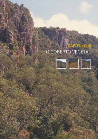 143




        CAPÍTULO III
O COBERTO VEGETAL




               O COBERTO VEGETAL
 