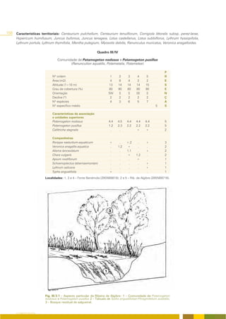 158   Características territoriais: Centaurium pulchellum, Centaurium tenuiflorum, Corrigiola littoralis subsp. perez-larae,
      Hypericum humifusum, Juncus bufonius, Juncus tenageia, Lotus castellanus, Lotus subbiflorus, Lythrum hyssopifolia,
      Lythrum portula, Lythrum thymifolia, Mentha pulegium, Myosotis debilis, Ranunculus muricatus, Veronica anagalloides.

                                                               Quadro III/IV

                                  Comunidade de Potamogeton nodosus e Potamogeton pusillus
                                         (Ranunculion aquatilis, Potametalia, Potametea)

                                                                                                               P
                               Nº ordem                                 1      2    3       4    5             R
                               Área (m2)                                4      8    4       2    2             E
                               Altitude (1=10 m)                       13      14   14     14    15            S
                               Grau de cobertura (%)                   80      90   80     80    80            E
                               Orientação                              SW      S    S      SE    S             N
                               Declive (º)                              2      2    2       2    2             Ç
                               Nº espécies                              4      3    6       5    7             A
                               Nº específico médio                                                      5      S

                               Características da associação
                               e unidades superiores
                               Potamogeton nodosus                     4.4   4.5    4.4   4.4    4.4           5
                               Potamogeton pusillus                    1.2   2.3    2.2   2.2    2.2           5
                               Callitriche stagnalis                    .     .           +      +             2

                               Companheiras
                               Rorippa nasturtium-aquaticum            +      .     +.2    .     +             3
                               Veronica anagallis-aquatica             .     1.2    +      .     .             2
                               Alisma lanceolatum                      .      .     1.1    .     +             2
                               Chara vulgaris                          .      .     +     1.2    .             2
                               Apium nodiflorum                        .      .      .    +      .             1
                               Schoenoplectus tabernaemontani          .      .      .     .     +             1
                               Lythrum salicaria                       .      .      .     .     +             1
                               Typha angustifolia                      +      .      .     .     .             1

                          Localidades: 1, 3 e 4 – Fonte Benémola (29SNB8818); 2 e 5 – Rib. de Algibre (29SNB8716).




                          Fig. III/3.1 – Aspecto particular da Ribeira de Algibre: 1 – Comunidade de Potamogeton
                          nodosus e Potamogeton pusillus 2 – Tabuais de Typho angustifoliae-Phragmitetum australis;
                          3 – Bosque residual de salgueiral.


      O COBERTO VEGETAL
 