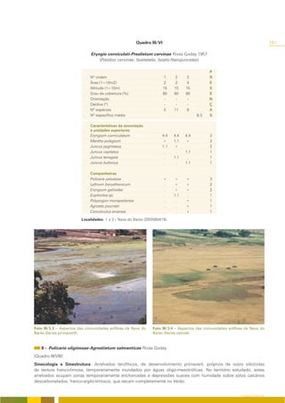 Quadro III/VI                                                             161

                              Eryngio corniculati-Preslietum cervinae Rivas Goday 1957
                                  (Preslion cervinae, Isoetetalia, Isoeto-Nanojuncetea)

                                                                                              P
                             Nº ordem                                  1    2     3           R
                             Área (1=10m2)                             2     2    4           E
                             Altitude (1=10m)                          15   15    15          S
                             Grau de cobertura (%)                     80   80    80          E
                             Orientação                                 -    -     -          N
                             Declive (º)                                -    -     -          Ç
                             Nº espécies                                5   11     9          A
                             Nº específico médio                                        8.3   S

                             Características da associação
                             e unidades superiores
                             Eryngium corniculatum                   4.4    4.4   4.4         3
                             Mentha pulegium                         +      1.1   +           3
                             Juncus pygmaeus                         1.1    +      .          2
                             Juncus capitatus                         .      .    1.1         1
                             Juncus tenageia                          .     1.1    .          1
                             Juncus bufonius                          .      .    1.1         1

                             Companheiras
                             Pulicaria paludosa                        +    +     +           3
                             Lythrum borysthenicum                     .    +     +           2
                             Eryngium galioides                        .    +     +           2
                             Euphorbia sp.                             .    1.1   .           1
                             Polypogon monspeliensis                   .     .    +           1
                             Agrostis pourretii                        .     .    +           1
                             Convolvulus arvensis                      .     .    +           1

                         Localidades: 1 a 3 – Nave do Barão (29SNB8419).




Foto III/3.3 – Aspectos das comunidades anfíbias da Nave do    Foto III/3.4 – Aspectos das comunidades anfíbias da Nave do
Barão (fácies primaveríl).                                     Barão (fácies estival).


    8 - Pulicario uliginosae-Agrostietum salmanticae Rivas Goday
(Quadro III/VIII)
Sinecologia e Sinestrutura: Arrelvados terofíticos, de desenvolvimento primaveril, próprios de solos silicícolas
de textura franco-limosa, temporariamente inundados por águas oligo-mesotróficas. No território estudado, estes
arrelvados ocupam zonas temporariamente encharcadas e depressões suaves com humidade sobre solos calcários
descarbonatados, franco-argilo-limosos, que secam completamente no Verão.


                                                                                                             O COBERTO VEGETAL
 