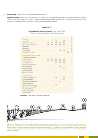162   Sincorologia: Distribui-se pelo Mediterrâneo-Iberoatlântico.
      Sinfitossociologia: Associação que se integra no mosaico de comunidades dos charcos temporariamente inundados.
      Contacta nos sítios mais secos com os arrelvados de Helianthemetea guttati e nos de maior humidade com o Loto
      subbiflori--Chaetopogonetum fasciculati e Junco pygmaei-Isoetetum velatae.


                                                                Quadro III/VII

                                          Junco pygmaei-Isoetetum velatae Rivas Goday 1956
                                           (Preslion cervinae, Isoetetalia, Isoeto-Nanojuncetea)

                                                                                                                 P
                               Nº ordem                                   1     2     3      4      5            R
                               Área (m2)                                  8     8     10      8     10           E
                               Altitude (1=10m)                          15    15     14     15     15           S
                               Grau de cobertura (%)                     100   100    90     90     90           E
                               Orientação                                 -     -      -      -      -           N
                               Inclinação (º)                             -     -      -      -      -           Ç
                               Nº espécies                                3     4      7     10     10           A
                               Nº específico médio                                                        6.8    S

                               Características da associação
                               e unidades superiores
                               Isoetes velatum                           55.    5.5   4.4    4.4   4.4            5
                               Juncus pygmaeus                           1.1    1.1   2.2    1.2   3.3            5
                               Juncus bufonius                            .      .    +.1    1.1   1.1            3
                               Eryngium corniculatum                      .      .     .     +     +              2
                               Lotus subbiflorus                          .      .     .     1.1    .             1
                               Juncus capitatus                           .      .     .      .    1.1            1
                               Juncus tenageia                            .      .     .      .    +              1
                               Lythrum thymifolia                         .      .     .      .    +              1

                               Companheiras
                               Lythrum borysthenicum                     .       +    1.1    +     1.2            4
                               Cynodon dactylon                          .       .     .     +     +.2            2
                               Polypogon monspeliensis                   .       +     .     +.2    .             2
                               Pulicaria paludosa                        .       .     .     +     +              2
                               Isolepis pseudosetaceus                   .       .    1.1     .     .             1
                               Ranunculus saniculifolius                 +       .     .      .     .             1
                               Cicendia filiformis                       .       .    +       .     .             1
                               Eryngium galioides                        .       .    +       .     .             1
                               Rumex crispus                             .       .     .     +      .             1

                           Localidades: 1 a 5 – Nave do Barão (29SNB8419).




      Fig. III/3.3 – Esquema das comunidades anfíbias do lagoacho da Nave do Barão no início da Primavera: 1 – Comunidade de
      Ranunculus saniculifolius; 2 – Cardal anfíbio de Eryngio corniculatae-Preslietum cervinae; 3 – Comunidade de Eleocharis palustris
      subsp. vulgaris; 4 – Ervaçal anfíbio de Junco pygmaei-Isoetetum velatae; 5 – Arrelvados terofíticos anfíbios de Pulicario paludosae-
      -Agrostietum pourretii; 6 – Arrelvados terofíticos anfíbios de Loto subbiflori-Chaetopogonetum fasciculati; 7 – Arrelvado de Gaudinio
      fragilis-Agrostietum.


      O COBERTO VEGETAL
 