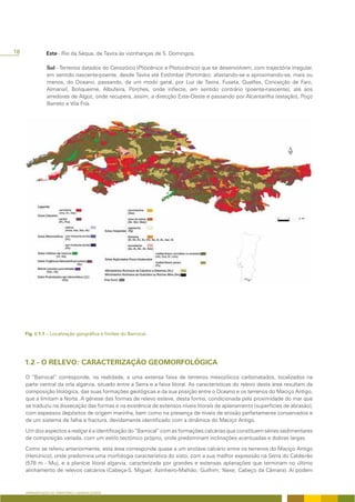 18                     - Rio da Séqua, de Tavira às vizinhanças de S. Domingos.

                Sul - Terrenos datados do Cenozóico (Pliocénico e Plistocénico) que se desenvolvem, com trajectória irregular,
                em sentido nascente-poente, desde Tavira até Estômbar (Portimão); afastando-se e aproximando-se, mais ou
                menos, do Oceano, passando, de um modo geral, por Luz de Tavira, Fuseta, Quelfes, Conceição de Faro,
                Almansil, Boliqueime, Albufeira, Porches, onde inflecte, em sentido contrário (poente-nascente), até aos
                arredores de Algoz, onde recupera, assim, a direcção Este-Oeste e passando por Alcantarilha (estação), Poço
                Barreto e Vila Fria.




     O “Barrocal” corresponde, na realidade, a uma extensa faixa de terrenos mesozóicos carbonatados, localizados na
     parte central da orla algarvia, situado entre a Serra e a faixa litoral. As características do relevo desta área resultam da
     composição litológica, das suas formações geológicas e da sua posição entre o Oceano e os terrenos do Maciço Antigo,
     que a limitam a Norte. A génese das formas de relevo esteve, desta forma, condicionada pela proximidade do mar que
     se traduziu na dissecação das formas e na existência de extensos níveis litorais de aplanamento (superfícies de abrasão),
     com espessos depósitos de origem marinha, bem como na presença de níveis de erosão perfeitamente conservados e
     de um sistema de falha e fractura, devidamente identificado com a dinâmica do Maciço Antigo.

     Um dos aspectos a realçar é a identificação do “Barrocal” com as formações calcárias que constituem séries sedimentares
     de composição variada, com um estilo tectónico próprio, onde predominam inclinações acentuadas e dobras largas.

     Como se referiu anteriormente, esta área corresponde quase a um enclave calcário entre os terrenos do Maciço Antigo
     (Hercínico), onde predomina uma morfologia característica do xisto, com a sua melhor expressão na Serra do Caldeirão
     (578 m - Mu), e a planície litoral algarvia, caracterizada por grandes e extensas aplanações que terminam no último
     alinhamento de relevos calcários (Cabeça-S. Miguel; Azinheiro-Malhão; Guilhim; Nexe; Cabeço da Câmara). Aí podem



     APRESENTAÇÃO DO TERRITÓRIO E GENERALIDADES
 
