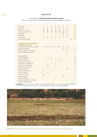 172                                                                  Quadro III/XV

                                               Comunidade de Eleocharis palustris subsp. vulgaris
                                     (Nasturtion officinalis, Nasturtio-Glycerietalia, Phragmito-Magnocaricetea)

                                                                                                                         P
                              Nº ordem                                 1    2      3     4      5     6      7           R
                              Área (m2)                                4    6      8     6     10     4     10           E
                              Altitude (1=10m)                         10   14     15   14     15    17     11           S
                              Grau de cobertura (%)                    80   90     80   100    100   100    70           E
                              Orientação                                -    -      -    -      -    SE     E            N
                              Declive (º)                               -    -      -    -      -     2      2           Ç
                              Nº espécies                              4    6      6     9      4     4      6           A
                              Nº específico médio                                                                  5.6   S


                              Características da comunidade
                              e unidades superiores
                              Eleocharis palustris subsp. vulgaris    4.4   4.4   4.4    5.5   5.5   5.5    3.3          V
                              Alisma lanceolatum                       .     .     .      .     .    3.3    +            II
                              Rorippa nasturtium aquaticum             .     .     .      .     .     .     2.2           I
                              Veronica anagallis-aquatica              .     .     .      .     .     .     +             I

                              Companheiras
                              Pulicaria paludosa                       .    +.2   1.1    r     +      .      .           III
                              Cynodon dactylon                         .    1.1   1.1   +.1    1.1    .      .           III
                              Convolvulus arvensis                     .     .    +      r     +      .      .           III
                              Polypogon monspeliensis                 +      .    +     +       .     .      .           III
                              Eryngium corniculatum                    .    1.2    .    1.1     .     .      .            II
                              Ranunculus saniculifolius                .    1.1    .    +       .     .      .            II
                              Apium nodiflorum                        1.1    .     .     .      .     .     3.3           II
                              Lotus conimbricensis                     .     .     .     r      .     .      .             I
                              Isoetes velatum                          .    1.2    .     .      .     .      .             I
                              Juncus articulatus                      2.2    .     .     .      .     .      .             I
                              Juncus rugosus                           .     .     .     .      .    2.2     .             I
                              Mentha pulegium                          .     .     .    1.1     .     .      .            I
                              Cyperus longus subsp. badius             .     .     .     .      .     .     +             I
                              Lythrum borysthenicum                    .     .    +      .      .     .      .            I
                          Localidades: 1 e 7 – Rib. Ondas - Lagoa dos Cavalos (29SPB0909); 2 e 4 – Nave do Barão (29SNB8419);
                          3 – Esteveira (29SNB7518); 5 – Poçanco - Loulé (29SNB); 6 – Lagos e Relvas (29SNB9508).




      Foto III/3.6 - Aspecto da comunidade de Eleocharis palustris subsp. vulgaris (com Ranunculus saniculifolius).



      O COBERTO VEGETAL
 