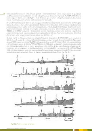20 Entre estes alinhamentos, em vales de fundo aplanado e vertentes de declives suaves, surgem cursos de água pouco
    caudalosos e temporários, que definem uma rede hidrográfica pouco densa e mal organizada (ALMEIDA, 1985). Todavia,
    existem algumas ribeiras, como a de Algibre e Fonte Benémola, que correm em vales profundos e encaixados, mais ou
    menos, meandrizados, com vertentes rectilíneas de desnível acentuado.

    De uma forma sintética pode referir-se que geologicamente o Barrocal é constituído, essencialmente, por formações
    datadas do Jurássico e algumas formações datadas do Cretácico Inferior (Mesozóico), dificilmente separáveis das camadas
    jurássicas subjacentes, o que lhe confere, em grande parte, a sua individualização e identificação. Caracteriza-se assim,
    fundamentalmente, pela existência de formações carbonatadas, mas como referem vários autores, nomeadamente
    TEIXEIRA et al. (1980), “(...) durante o Jurássico terão ocorrido importantes acontecimentos tectónicos e significativos
    avanços do mar, que serão responsáveis pela diferenciação de fácies. Extensos afloramentos carbonatados dolomíticos
    alternam com outros em que predominam complexos mais detriticos (...)”.

    Contudo, é ainda no Triássico, unidade mais antiga do Mesozóico, designada por CHOFFAT (1887) como complexo do
    Grés de Silves,”(...) que se dá o início a uma fase de distensão que conduz à formação da bacia mesozóica do Algarve, com
    cerca de 150 Km de comprimento e 13 a 30 Km de largura, de alinhamento E-W, limitada a Norte pelo soco paleozóico e
    a Sul pela margem passiva do Atlântico” (MANUPPELLA et al., 1988), onde se depositam, inicialmente, conglomerados
    e/ou microconglomerados, mais ou menos grosseiros, arenitos e siltitos de cor avermelhada ou violácea, ricos em
    moscovite e com uma espessura variável, que oscila entre um mínimo de 30 m e um máximo de 60 m (MANUPPELLA,
    1988). Esta distensão parece haver sido responsável pela formação de duas flexuras, com direcção W-E, que atravessam
    longitudinalmente a área estudada: flexura de Algibre e flexura de Vale do Judeu-Monte Figo (Fig. I/2.2 ).




                        - Perfis transversais do Barrocal.


    APRESENTAÇÃO DO TERRITÓRIO E GENERALIDADES
 