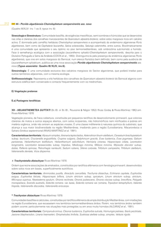 212        44 - Picrido algarbiensis-Cheirolophetum sempervirentis ass. nova
      (Quadro III/XLIV: inv. 1 ao 8; typus inv. 6)

      Sinecologia e Sinestrutura: Comunidade basófila, de exigências mesofíticas, semi-sombrias e húmicolas que se desenvolve
      nas orlas e clareiras dos carvalhais marcescentes de Quercetum alpestris-broteroi, sobre solos margosos ricos em calcário
      activo. É dominada pelo caméfito herbáceo Cheirolophus sempervirens e acompanhado do endemismo algarviense Picris
      algarbiensis, bem como de Cephalaria leucantha, Salvia sclareoides, Satureja calamintha, entre outros. Bioclimaticamente
      é uma comunidade que apresenta o seu óptimo no piso termomediterrâneo, sob ombroclima sub-húmido a húmido.
      Face à semelhança ecológica com a associação Leucanthemo sylvatici-Cheirolophetum sempervirentis, descrita para o
      Divisório Português e Serra da Arrábida (COSTA et al., 1993). Distinguimo-la pela presença da endémica algarviense Picris
      algarbiensis, que vive em solos margosos do Barrocal, num elenco florístico bem definido, bem como pela ausência de
      Leucanthemum sylvaticum, publica-se uma nova associação Picrido algarbiensis-Cheirolophetum sempervirentis ass.
      nova (Typus associatio: Quadro III/XLIV, inv.6).
      Sincorologia: É uma comunidade exclusiva dos calcários margosos do Sector algarviense, que poderá irradiar para
      outros territórios adjacentes, com a mesma ecologia.
      Sinfitossociologia: Representa a orla herbácea dos carvalhais de Quercetum alpestris-broteroi do Barrocal algarvio com
      estrutura edáfica bem conservada e contacta frequentemente com os medronhais.


      E) Vegetação pratense


      E.a) Pastagens terofíticas


      XII - HELIANTHEMETEA GUTTATI (Br.-Bl. in Br.-Bl., Roussine & Nègre 1952) Rivas Goday & Rivas-Martínez 1963 em.
      Rivas-Martínez 1978
      Vegetação pioneira, de fraca cobertura, constituída por pequenos terófitos de desenvolvimento primaveril, que coloniza
      clareiras de matos e outros espaços abertos, com solos incipientes, não hidromórficos nem nitrificados e pobres em
      matéria orgânica, onde não entram as espécies vivazes. É uma classe indiferente à natureza química do substrato, que
      alcança a sua maior biodiversidade na região Mediterrânea, irradiando para a região Eurosiberiana, Macaronésica e
      Saharo-Síndica septentrional (RIVAS-MARTÍNEZ et al. 1991).
      Características territoriais: Alyssum simplex, Arenaria leptoclados, Asterolinon linum-stellatum, Cerastium brachypetalum
      subsp. tauricum, Crucianella angustifolia, Crupina vulgaris, Delphinium gracile, Evax lusitanica, Evax pygmaea, Galium
      parisiense, Helianthemum ledifolium, Helianthemum salicifolium, Herniaria cinerea, Hippocrepis ciliata, Leontodon
      longirostris, Leontodon taraxacoides subsp. hispidus, Medicago minima, Mibora minima, Myosotis discolor subsp.
      dubia, Pallenis spinosa, Petrorhagia nanteuilii, Sedum rubens, Silene colorata, Trifolium campestre, Trifolium stellatum,
      Valerianella dentata, Vicia disperma.


      + Trachynietalia distachyae Rivas-Martínez 1978
      Ordem que reúne associações de arrelvados, constituídos por terófitos efémeros com fenologia primaveril, desenvolvidos
      sobre solos ricos em bases, superficialmente eutróficos.
      Características territoriais: Ammoides pusilla, Atractylis cancellata, Trachynia distachya, Echinaria capitata, Euphorbia
      exigua, Euphorbia falcata, Hippocrepis biflora, Linum strictum subsp. spicatum, Linum strictum subsp. strictum,
      Micropus supinus, Neatostema apulum, Ononis reclinata, Ononis pubescens, Ononis viscosa subsp. breviflora, Polygala
      monspeliaca, Scandix australis, Sideritis romana. var. lazae, Sideritis romana var. romana, Tripodion tetraphyllum, Valantia
      hispida, Valerianella discoidea, Valerianella eriocarpa.


      * Trachynion distachyae Rivas-Martínez 1978
      Comunidades basófilas e calcícolas, constituídas por terófitos efémeros de ampla distribuição Mediterrânea, com irradiações
      na região Eurosiberiana, que escasseiam nos territórios termomediterrâneos áridos. Porém, nos territórios áridos também
      podem ocorrer, particularmente nas situações mais protegidas ou em anos muito húmidos (ALCARAZ et al., 1991).
      Características territoriais: Campanula erinus, Cleonia lusitanica, Euphorbia sulcata, Hornungia petraea, Iberis pectinata,
      Jasione blepharodon, Linaria haenseleri, Omphalodes linifolia, Scabiosa stellata subsp. simplex, Velezia rígida.


      O COBERTO VEGETAL
 
