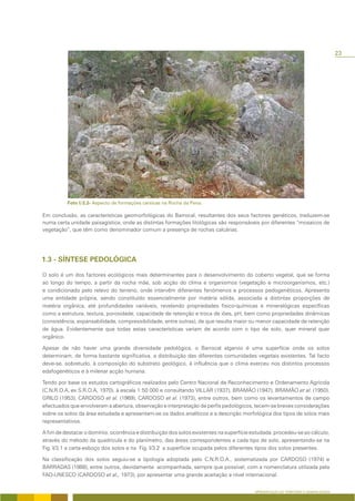 23




                     Aspecto de formações cársicas na Rocha da Pena.

Em conclusão, as características geomorfológicas do Barrocal, resultantes dos seus factores genéticos, traduzem-se
numa certa unidade paisagística, onde as distintas formações litológicas são responsáveis por diferentes “mosaicos de
vegetação”, que têm como denominador comum a presença de rochas calcárias.




O solo é um dos factores ecológicos mais determinantes para o desenvolvimento do coberto vegetal, que se forma
ao longo do tempo, a partir da rocha mãe, sob acção do clima e organismos (vegetação e microorganismos, etc.)
e condicionado pelo relevo do terreno, onde intervêm diferentes fenómenos e processos pedogenéticos. Apresenta
uma entidade própria, sendo constituído essencialmente por matéria sólida, associada a distintas proporções de
matéria orgânica, até profundidades variáveis, revelando propriedades fisico-químicas e mineralógicas específicas
como a estrutura, textura, porosidade, capacidade de retenção e troca de iões, pH, bem como propriedades dinâmicas
(consistência, expansabilidade, compressibilidade, entre outras), de que resulta maior ou menor capacidade de retenção
de água. Evidentemente que todas estas características variam de acordo com o tipo de solo, quer mineral quer
orgânico.

Apesar de não haver uma grande diversidade pedológica, o Barrocal algarvio é uma superfície onde os solos
determinam, de forma bastante significativa, a distribuição das diferentes comunidades vegetais existentes. Tal facto
deve-se, sobretudo, à composição do substrato geológico, à influência que o clima exerceu nos distintos processos
edafogenéticos e à milenar acção humana.

Tendo por base os estudos cartográficos realizados pelo Centro Nacional de Reconhecimento e Ordenamento Agrícola
(C.N.R.O.A, ex S.R.O.A, 1970), à escala 1:50 000 e consultando VILLAR (1937), BRAMÃO (1947), BRAMÃO et al. (1950),
GRILO (1953), CARDOSO et al. (1969), CARDOSO et al. (1973), entre outros, bem como os levantamentos de campo
efectuados que envolveram a abertura, observação e interpretação de perfis pedológicos, tecem-se breves considerações
sobre os solos da área estudada e apresentam-se os dados analíticos e a descrição morfológica dos tipos de solos mais
representativos.

A fim de destacar o domínio, ocorrência e distribuição dos solos existentes na superfície estudada, procedeu-se ao cálculo,
através do método da quadrícula e do planímetro, das áreas correspondentes a cada tipo de solo, apresentando-se na
Fig. I/3.1 a carta-esboço dos solos e na Fig. I/3.2 a superfície ocupada pelos diferentes tipos dos solos presentes.

Na classificação dos solos seguiu-se a tipologia adoptada pelo C.N.R.O.A., sistematizada por CARDOSO (1974) e
BARRADAS (1988), entre outros, devidamente acompanhada, sempre que possível, com a nomenclatura utilizada pela
FAO-UNESCO (CARDOSO et al., 1973), por apresentar uma grande aceitação a nível internacional.


                                                                                           APRESENTAÇÃO DO TERRITÓRIO E GENERALIDADES
 