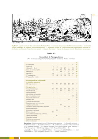 223




Fig. III/3.7 - Aspecto particular dos arrelvados da Rocha da Pena: 1 - Carrascal de Asparago albi-Rhamnetum oleoidis; 2 - Arrelvados
vivazes crassifólios de Sedetum micrantho-sediformis; 3 - Arrelvados vivazes de Trifolio subterranei-Plantaginetum serrariae; 4 -
Arrelvados terofíticos de Helianthemetea guttati; 5 - Festuco-Brometea; 6 - Cardal de Bourgaeo humilis-Galactitetum tomentosae.


                                                             Quadro III/L

                                           Comunidade de Plantago albicans
                          (Poo bulbosae-Astragalion sesamei, Poetalia bulbosae, Poetea bulbosae)

                                                                                                                P
                        Nº de ordem                                   1      2      3      4      5      6      R
                        Área (m2)                                     4      4      1      1      1      1      E
                        Altitude (1=10m)                               8      7    16      27      6     14     S
                        Grau de cobertura (%)                         70     70    60      70     40     40     E
                        Orientação                                    S       -    NW      S      N      S      N
                        Declive (º)                                   20      -     5       5     10     10     Ç
                        Nº de espécies                                11     12    10      13     12      9     A
                        Nº específico médio                                                                     S

                        Características da comunidade
                        e unidades superiores
                        Plantago albicans                            4.4    4.4    3.4    3.3    2.4    2.4     V

                        Companheiras
                        Trachynia distachya                          1.1    1.1    2.2    1.1    2.2    1.1      V
                        Linum strictum                               +      +      1.1    +      1.1    +        V
                        Linum tryginum                               +      +      +      +      +      +        V
                        Convolvulus althaeoides                       .      .     +      +      +      +       IV
                        Bituminaria bituminosa                        .      .      .     +      +      1.1     III
                        Reichardia intermedia                        +      +       .      .      .     +       III
                        Plantago afra                                 .      .     +             1.1     .      III
                        Scabiosa atropurpurea                         .     +       .     +       .      .       II
                        Satureja graeca var. micrantha                .      .     +      +       .      .       II
                        Aegilops geniculata                           .      .     1.1     .      .      .       II
                        Leontodon taraxacoides subsp. hispidus        .      .      .     1.1    1.1     .       II
                        Crucianella latifolia                         .      .            +      +       .       II
                        Scorpiurus muricatus                          .     1.1     +      .      .      .       II
                        Ononis repens                                1.1     .      .     +       .      .       II
                        Dactylis hispanica subsp. lusitanica          .      .      .      .     +      +        II
                        Sedum sediforme                               .     +.2     .      .      .      .        I
                        Phagnalon saxatile                           +       .      .      .      .      .        I
                        Scabiosa semipapposa                          .      .      .      .     1.1     .        I
                        Ononis pubescens                              .     +       .      .      .      .        I
                    Outros taxa: Aristolochia paucinervis 1.1 (6); Asteriscus aquaticus + (1); Atractylis gummifer +
                    (1); Bellardia trixago 1.1 (5); Carlina racemosa 1.1 (4); Carduncellus caeruleus subsp. caeruleus
                    + (1); Misopates orontium + (2); Muscari comosum + (2); Ononis viscosa subsp. breviflora +
                    (1); Pallenis spinosa + (2); Plantago lagopus + (4); Rhagadiolus stellatus + (3).
                    Localidades: 1 – Esteiramatens (29SPB1007); 2 – Moncarapacho (29SPB0806); 3 e 6 – Estoi
                    (29SNB9906); 4 – Apra (Morgado) (29SNB9312); 5 – Quelfes (29SPB0502).


                                                                                                                        O COBERTO VEGETAL
 