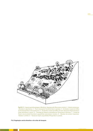243




          Fig. III/3.11 - Aspecto geral da paisagem (Albufeira): Asparago albi-Rhamnetum olioidis, 2 – Siderito lusitanicae-
          -Genistetum algarbiensis, 3 – Thymo lotocephali-Coridothymetum capitatae, 4 – Arrelvados vivazes termófilos
          de Andropogenetum hirto-pubescens, 5 – Arrelvados vivazes termófilos de Carici depressae-Hyparrhenietum
          hirtae daucetosum maximi, 6 – Tamargal de Polygono equisetiformis-Tamaricetum africanae, 7 – Freixial de
          Ficario ranunculoidis-Fraxinetum angustifoliae quercetosum broteroi, 8 – Silvados de Lonicero hispanicae-
          -Rubetum ulmifolii, 9 – Tabuais de Typho angustifoliae-Phragmiteum australis.


F.b) Vegetação serial arbustiva e de orlas de bosques




                                                                                                                          O COBERTO VEGETAL
 