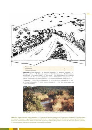 249




                         Populus alba                                  .      .      .       .     +              1
                         Hedera helix                                  .      .      .       .     +              1
                         Equisetum telmateia                           .      .      .       .     +              1
                     Outros taxa: Achillea ageratum + (4); Agrimonia eupatoria + (1); Asparagus acutifolius + (5);
                     Asparagus aphyllus + (2); Calystegia sepium 1.1 (3); Carex pendula + (5); Cheirolophus
                     sempervirens + (3); Festuca ampla + (5); Ficus carica 1.1 (3); Lythrum salicaria + (1); Mentha
                     suaveolens + (4); Olea sylvestris + (5); Pistacia lentiscus 1.1 (5); Phalaris caerulescens + (1);
                     Quercus rotundifolia + (5); Ranunculus ficaria + (5); Torilis arvensis subsp. neglecta 1.1 (1);
                     Localidades: 1 – Ribª de Algibre(29SNB8817) ; 2 – Fonte Benémola (29SNB8818); 3 – Rib.
                     da Corriola (29SNB8221); 4 – (Corte Neto) (29SNB8619); 5 – Rib.ª das Ondas-Lagoa dos
                     Cavalos (29SPB0909).




                     Foto III/3.12 - Aspecto de um tamargal de Polygono equisetiformis-Tamaricetum africanae.


Fig. III/3.12 - Aspecto geral da Ribeira de Algibre: 1 – Tamargal de Polygono equisetiformis-Tamaricetum africanae, 2 – Feixial de Ficario
ranunculoiies-Fraxinetum angustifoliae quercetosum broteroi, 3 – Loendral de Rubo ulmifolii-Nerietum oleandri aristolochietosum
baeticae, 4 – Lonicero hispanicae-Rubetum ulmifolii, 5 – Typho angustifoliae-Phragmitetum australis, 6 – Aro italici-Oleetum sylvestris,
7 – Rhamno oleoidis-Quercetum rotundifoliae juniperetosum turbinatae.



                                                                                                                           O COBERTO VEGETAL
 