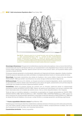 252        67 - Salici atrocinereae-Populetum albae Rivas Goday 1964




                           Fig. III/3.13 - Esquema geral de um choupal (encosta norte da Rocha de Messines):
                           1 – Salici atrocinerea-Populetum albae, 2 – Loendral de Rubo ulmifolii-Nerietum
                           oleandri aristolochietosum baeticae, 3 – Silvado de Lonicero hispanicae-Rubetum
                           ulmifolii, 4 – Arrelvados vivazes de Phlomido lychnitidis--Brachypodietum phoenicoidis,
                           5 – Arrelvados vivazes termófilos de Carici depressae-Hyparrhenietum hirtae daucetosum
                           maximi, 6 – Arrelvados terofíticos de Velezio rigidae-Astericetum aquaticae.


      Sinecologia e Sinestrutura: Choupais termomediterrâneos assentes sobre solos argilosos, mais ou menos hidromórficos,
      caracterizados pelo domínio de Populus alba que, por se apresentarem muito degradados face à intensa e secular acção
      humana nestas superfícies ribeirinhas, apenas ocorrem de forma muito pontual. Assim, só foi possível realizar quatro
      inventários (Quadro III/LXVII).
      Os bosques residuais apresentam um porte elevado, alternando com fragmentos de freixiais, salgueirais, silvados e loendrais,
      revestindo pequenas depressões que estão submetidas a inundações periódicas durante um escasso período de tempo.
      Sincorologia: Associação característica das várzeas do Guadiana e dos cursos médios e baixos dos seus afluentes
      (RIVAS GODAY, 1964) que também reconhecemos nos cursos de água do Barrocal (Sector Algarviense).
      Sinfitossociologia: Tal como já foi referido, os choupais encontram-se bastante degradados, devido, essencialmente,
      ao aproveitamento intensivo destes solos hidromórficos para cultivos de regadio, apresentando como primeira etapa de
      substituição dos silvados de Lonicero hispanicae-Rubetum ulmifolii.
      Variabilidade: Apesar de existirem freixiais em contacto com os choupais, poder-se-ia pensar na subassociação
      fraxinetosum ficariae de GARCIA-FUENTES (1995). Todavia, não optamos por este sintaxon uma vez que o substrato onde
      foram observadas estas comunidades são calcários duros, mais ou menos descarbonatados e não margosos.
      Tendo por base os inventários realizados e consultando as associações de choupais apresentadas por GALÁN (1993);
      GARCÍA-FUENTES (1996); NIETO-CALDERA et al. (1991); NOJERSKI (1985) e MARTÍNEZ-PARRAS et al. (1987), parece-nos
      que os resquícios do choupal estudado representam a associação inicialmente definida por RIVAS GODAY et al. (1964) para
      as várzeas térmicas do Guadiana, uma vez que o cortejo florístico e a ecologia apresentam semelhanças significativas.


      ** Fraxino angustifoliae-Ulmenion minoris Rivas-Martínez 1975
      Subaliança que inclui bosques ribeirinhos mediterrâneo-ocidentais (ulmeirais e freixiais) que vivem sobre solos profundos,
      com nível freático elevado, próprios do leito de cheia dos ribeiros e ribeiras, excepcionalmente inundados, bem como
      dos fluviossolos do fundo dos vales, com horizontes hidromórficos.
      Características territoriais: Fraxinus angustifolia.


      O COBERTO VEGETAL
 