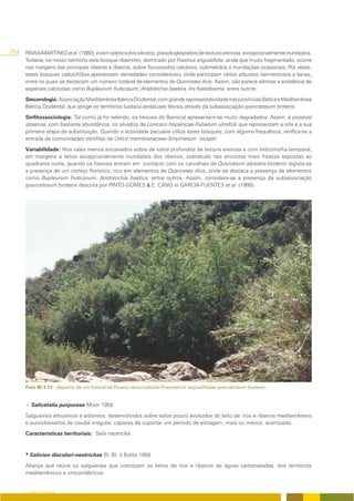 254   RIVAS-MARTÍNEZ et al. (1980), vivem sobre solos silíceos, pseudogleyzados de textura arenosa, excepcionalmente inundados.
      Todavia, no nosso território este bosque ribeirinho, dominado por Fraxinus angustifolia, ainda que muito fragmentado, ocorre
      nas margens das principais ribeiras e ribeiros, sobre fluviossolos calcários, submetidos a inundações ocasionais. Por vezes,
      estes bosques caducifólios apresentam densidades consideráveis, onde participam vários arbustos sarmentosos e lianas,
      entre os quais se destacam um número notável de elementos de Quercetea ilicis. Assim, não parece admirar a existência de
      espécies calcícolas como Bupleurum fruticosum, Aristolochia baetica, Iris foetidissima, entre outros.
      Sincorologia: Associação Mediterrânea Ibérica Ocidental, com grande representatividade nas províncias Bética e Mediterrânea
      Ibérica Ocidental, que atinge os territórios lusitano-andaluses litorais através da subassociação quercetosum broteroi.
      Sinfitossociologia: Tal como já foi referido, os freixiais do Barrocal apresentam-se muito degradados. Assim, é possível
      observar, com bastante abundância, os silvados de Lonicero hispanicae-Rubetum ulmifolii que representam a orla e a sua
      primeira etapa de substituição. Quando a actividade pecuária utiliza estes bosques, com alguma frequência, verifica-se a
      entrada de comunidades nitrófilas de Urtico membranaceae-Smyrnietum olusatri.
      Variabilidade: Nos vales menos encaixados sobre de solos profundos de textura arenosa e com hidromorfia temporal,
      em margens e leitos excepcionalmente inundados dos ribeiros, sobretudo nas encostas mais frescas expostas ao
      quadrante norte, quando os freixiais entram em contacto com os carvalhais de Quercetum alpestris-broteroi regista-se
      a presença de um cortejo florístico, rico em elementos de Quercetea ilicis, onde se destaca a presença de elementos
      como Bupleurum fruticosum, Aristolochia baetica, entre outros. Assim, considera-se a presença da subassociação
      quercetosum broteroi descrita por PINTO-GOMES & E. CANO in GARCIA-FUENTES et al. (1998).




      Foto III/3.13 - Aspecto de um freixial de Ficario ranunculoidis-Fraxinetum angustifoliae quercetosum broteroi.


      + Salicetalia purpureae Moor 1958

      Salgueirais arbustivos e arbóreos, desenvolvidos sobre solos pouco evoluídos do leito de rios e ribeiros mediterrâneos
      e eurosiberianos de caudal irregular, capazes de suportar um período de estiagem, mais ou menos, acentuado.
      Características territoriais: Salix neotricha.



      * Salicion discolori-neotrichae Br. Bl. & Bolòs 1958

      Aliança que reúne os salgueirais que colonizam os leitos de rios e ribeiros de águas carbonatadas, dos territórios
      mediterrânicos e orocantábricos.


      O COBERTO VEGETAL
 