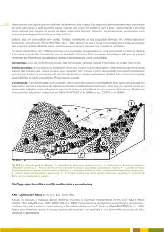 256   ribeiras como a de Algibre (próximo da Fonte da Benémola) e da Asseca. São salgueirais termomediterrâneos, dominados
      por Salix atrocinerea e Salix salviifolia subsp. australis que vivem em contacto com a água, representando a primeira
      banda arbórea que margina os cursos de água, sobre solos limosos, calcários, temporariamente encharcados, com
      horizonte pseudogley (hidromórficos) e oligotróficos.

      Embora seja um comunidade com cortejo florístico semelhante ao dos salgueirais térmicos Viti viniferae-Salicetum
      atrocinerea, descritos por RIVAS-MARTÍNEZ et al. (1980), parece-nos que a nossa comunidade difere dessa associação
      pela ausência de Salix salviifolia subsp. australis que está sempre presente nos inventários recolhidos.

      Por outro lado COSTA et al. (1996) apresentam uma associação de salgueiral com uma composição e estrutura idêntica
      à da nossa comunidade, mas descrito para os substratos siliciosos. Como as nossas amostragens são poucas e foram
      recolhidas em fragmentos de salgueirais, apenas a consideramos como comunidade.

      Sincorologia: À luz do conhecimento actual, esta comunidade calcícola apenas é conhecida no Sector Algarviense.

      Sinfitossociologia: Estes salgueirais constituem uma etapa madura da Geossérie riparia, representando a primeira banda
      arbórea das margens dos cursos de água, que contactam com freixiais (Ficario ranunculoidis-Fraxinetum angustifoliae
      quercetosum broteroi) e suas etapas de substituição (Lonicero hispanicae-Rubetum ulmifolii), bem como as formações
      altas hidrófitas de Typho angustifoliae-Phragmitetum australis.

      Variabilidade: A presença destas comunidades, sobre substratos calcários e contactando com águas enriquecidas em
      carbonatos, permite a ocorrência de espécies calcícolas como Bupleurum fruticosum, facto que nos permite pensar em
      desenvolver trabalhos mais profundos no sentido de observar a existência de uma variante calcícola com Bupleurum
      fruticosum dos salgueirais já descritos por RIVAS-MARTÍNEZ et al. (1990) ou por COSTA et al. (1996).




      Fig. III/3.14 - Aspecto geral do Almarjão: 1 – Carvalhal de Quercetum alpestris-broteroi, 2 – Medronhal de Aristolochio baeticae-
      -Arbutetum unedonis, 3 – Freixial de Ficario ranunculoidis-Fraxinetum angustifolia quercetosum broteroi, 4 – Loendral de Rubio
      longifoliae-Nerietum oleandri aristolochietosum baeticae, 5 – Arrelvados vivazes de Galio concatenati-Brachypodietum phoenicoidis,
      6 – Siderito lusitanicae-Genistetum algarbiensis, 7 – Arrelvados terofíticos de Velezio rigidae-Astericetum aquaticae, 8 – Sobreiral de
      Myrto communis-Quercetum suberis.


      G.b) Vegetação climatófila e edafófila mediterrânica e eurossiberiana



      XXIII - QUERCETEA ILICIS Br.-Bl. ex A. & O. Bolòs 1950

      Agrupa os bosques e matagais densos (brenhas, machiais e espinhais) mediterrâneos (RIVAS-MARTÍNEZ & RIVAS
      GODAY 1975, AKMAN et al., 1978; BARBERO et al. 1981), frequentemente durilignosos (esclerófilos) e sempervirens,
      criadores de sombra, mais ou menos intensa, e formadores de húmus “mull” florestal (RIVAS-MARTÍNEZ et al., 1990).
      Apesar de indiferentes quanto à natureza química do substrato, são sensíveis a uma hidromorfia acentuada do solo,
      temporal ou permanente.




      O COBERTO VEGETAL
 