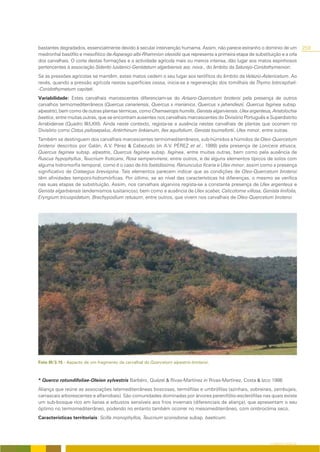 bastantes degradados, essencialmente devido à secular intervenção humama. Assim, não parece estranho o domínio de um              259
medronhal basófilo e mesofítico de Asparago albi-Rhamnion oleoidis que representa a primeira etapa de substituição e a orla
dos carvalhais. O corte destas formações e a actividade agrícola mais ou menos intensa, dão lugar aos matos espinhosos
pertencentes à associação Siderito lusitanici-Genistetum algarbiensis ass. nova., do âmbito da Saturejo-Coridothymenion.
Se as pressões agrícolas se mantêm, estes matos cedem o seu lugar aos terófitos do âmbito da Velezio-Astericetum. Ao
revés, quando a pressão agrícola nestas superfícies cessa, inicia-se a regeneração dos tomilhais de Thymo lotocephali-
-Coridothymetum capitati.
Variabilidade: Estes carvalhais marcescentes diferenciam-se do Arisaro-Quercetum broteroi pela presença de outros
carvalhos termomediterrâneos (Quercus canariensis, Quercus x marianica, Quercus x jahandiezii, Quercus faginea subsp.
alpestris), bem como de outras plantas térmicas, como Chamaerops humilis, Genista algarviensis, Ulex argenteus, Aristolochia
baetica, entre muitas outras, que se encontram ausentes nos carvalhais marcescentes do Divisório Português e Superdistrito
Arrabidense (Quadro III/LXXI). Ainda neste contexto, regista-se a ausência nestes carvalhais de plantas que ocorrem no
Divisório como Cistus psilosepalus, Antirrhinum linkianum, Ilex aquifolium, Genista tournefortii, Ulex minor, entre outras.
Também se destinguem dos carvalhais marcescentes termomediterrâneos, sub-húmidos a húmidos de Oleo-Quercetum
broteroi descritos por Galán, A.V. Pérez & Cabezudo (in A.V. PÉREZ et al., 1999) pela presença de Lonicera etrusca,
Quercus faginea subsp. alpestris, Quercus faginea subsp. faginea, entre muitas outras, bem como pela ausência de
Ruscus hypophyllus, Teucrium fruticans, Rosa sempervirens, entre outros, e de alguns elementos típicos de solos com
alguma hidromorfia temporal, como é o caso de Iris foetidissima, Ranunculus ficaria e Ulex minor, assim como a presença
significativo de Crataegus brevispina. Tais elementos parecem indicar que as condições de Oleo-Quercetum broteroi
têm afinidades temporo-hidromórficas. Por útlimo, se ao nível das características há diferenças, o mesmo se verifica
nas suas etapas de substituição. Assim, nos carvalhais algarvios regista-se a constante presença de Ulex argenteus e
Genista algarbiensis (endemismos lusitanicos), bem como a ausência de Ulex scaber, Calicotome villosa, Genista linifolia,
Eryngium tricuspidatum, Brachypodium retusum, entre outros, que vivem nos carvalhais de Oleo-Quercetum broteroi.




Foto III/3.15 - Aspecto de um fragmento de carvalhal de Quercetum alpestris-broteroi.



* Querco rotundifoliae-Oleion sylvestris Barbéro, Quézel & Rivas-Martínez in Rivas-Martínez, Costa & Izco 1986
Aliança que reúne as associações latemediterrâneas boscosas, termófilas e umbrófilas (azinhais, sobreirais, zambujais,
carrascais arborescentes e alfarrobais). São comunidades dominadas por árvores perenifólio-esclerófilas nas quais existe
um sub-bosque rico em lianas e arbustos sensíveis aos frios invernais (diferenciais de aliança), que apresentam o seu
óptimo no termomediterrâneo, podendo no entanto também ocorrer no mesomediterrâneo, com ombroclima seco.
Características territoriais: Scilla monophyllos, Teucrium scorodonia subsp. baeticum.




                                                                                                              O COBERTO VEGETAL
 