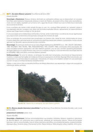 264        71 - Aro italici-Oleetum sylvestris Rivas-Martínez & Cantó 2002.
      (Quadro III/LXXII)
      Sinecologia e Sinestrutura: Bosque climácico dominado por zambujeiros arbóreos que se desenvolvem em encostas
      termófilas, sobre substratos margosos do Jurássico e mesmo do Triássico, de caracter vértico. Estes solos neutro-básicos,
      muito ricos em argilas, expandem-se no Inverno com a água das chuvas e retraem-se muito no Verão face à acentuada
      secura estival do território.
      Como a azinheira não resiste a esta variação de água no solo, só o zambujo (Olea sylvestris var. sylvestris), graças à
      sua adaptação radicular, consegue viver neste meio de fortes amplitudes hídricas, apresentando um desenvolvimento
      arbóreo que chega mesmo a atingir os 15m de altura.
      É uma associação termomediterrânea sub-húmida a húmida, sendo fundamental a ocorrência de chuvas significativas
      que proporcionem os fenómenos de expansão e retracção dos minerais de argila.
      Como os zambujais não se encontram bem conservados, por haverem sido, desde há muito, transformados em olivais
      e mesmo destruídos, particularmente em vertissolos de superfícies baixas para cederem a sua posição a outras culturas
      agrícolas (v.g. Benciate), apenas efectuámos dois inventários.
      Sincorologia: Os zambujais distribuem-se por toda a Região Mediterrânea (BARBERO et al., 1981; BOLÒS & MOLINIER,
      1969; MOLINIER, 1954; NEGRE, 1964; RIVAS-MARTÍNEZ, 1975; ZOHARY, 1962), constituindo várias associações. Os
      casos estudados parecem representar o Aro italici-Oleetum sylvestris, uma vez que o território apresenta precipitações
      de origem atlântica e um cortejo florístico, bem como as condições ecológicas, muito semelhantes à associação descrita
      por BENABID (1984) como Tamo communis-Oleetum sylvestris.
      Sinfitossociologia: Tal como foi referido, os zambujais não estão bem conservados, encontrando-se frequentemente
      invadidos e orlados por formações dominadas por lentiscos e espargueiros do âmbito Asparago-Rhamnion oleoidis, que
      representam a sua primeira etapa de substituição. Intercalando com estas comunidades e também em sua substituição
      ocorrem os tojais e tomilhais de Saturejo-Coridothymenion.
      Todavia, o mais comum são os arrelvados terofíticos de Velezio-Astericetum que representam a etapa mais avançada de
      substituição destes zambujais.




                            Foto III/3.16 - Aspecto de um zambujal de Aro italici-Oleetum sylvestris.


         72 - Rhamno oleoidis-Quercetum rotundifoliae Rivas-Martínez in Rivas-Martínez, Fernández-González, Loidi, Lousã
      & Penas 2000
      juniperetosum turbinatae subass. nova

      (Quadro III/LXXIII)
      Sinecologia e Sinestrutura: Azinhais termomediterrâneos que revestem substratos calcários margosos e dolomíticos
      do Barrocal algarvio, em ombroclima seco a sub-húmido, sobretudo em cambissolos cálcicos. Trata-se de formações
      boscosas, mais ou menos fechadas, ricas em lianas e elementos termófilos como Aristolochia baetica, Juniperus turbinata,
      Asparagus albus, Ceratonia siliqua, Chamaerops humilis, Pistacia lentiscus, Rubia peregrina subsp. longifolia, entre outros.


      O COBERTO VEGETAL
 