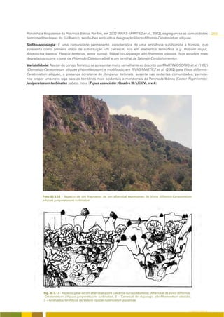 Rondeño e Hispalense da Província Bética. Por fim, em 2002 (RIVAS-MARTÍEZ et al., 2002), segregam-se as comunidades                          269
termomediterrâneas do Sul Ibérico, sendo-lhes atribuído a designação Vinco difformis-Ceratonietum siliquae.

Sinfitossociologia: É uma comunidade permanente, característica de uma ambiência sub-húmida a húmida, que
apresenta como primeira etapa de substituição um carrascal, rico em elementos termófilos (e.g. Prasium majus,
Aristolochia baetica, Pistacia lentiscus, entre outras), filiável no Asparago albi-Rhamnion oleoidis. Nos estádios mais
degradados ocorre o xaral de Phlomido-Cistetum albidi e um tomilhal de Saturejo-Coridothymenion.
Variabilidade: Apesar do cortejo florístico se apresentar muito semelhante ao descrito por MARTIN-OSORIO, et al. (1992)
(Clematido-Ceratonietum siliquae phlomidetosum) e modificado em RIVAS-MARTÍEZ et al. (2002) para Vinco difformis-
Ceratonietum siliquae, a presença constante de Juniperus turbinata, ausente nas restantes comunidades, permite-
nos propor uma nova raça para os territórios mais ocidentais e meridionais da Península Ibérica (Sector Algarviense):
juniperetosum turbinatae subass. nova (Typus associatio: Quadro III/LXXIV, inv.4).




          Foto III/3.18 - Aspecto de um fragmento de um alfarrobal espontâneo de Vinco difformis-Ceratonietum
          siliquae juniperetosum turbinatae.




           Fig. III/3.17 - Aspecto geral de um alfarrobal sobre calcários duros (Albufeira): Alfarrobal de Vinco difformis-
           -Ceratonietum siliquae juniperetosum turbinatae, 2 – Carrascal de Asparago albi-Rhamnetum oleoidis,
           3 – Arrelvados terofíticos de Velezio rigidae-Astericetum aquaticae.


                                                                                                                         O COBERTO VEGETAL
 