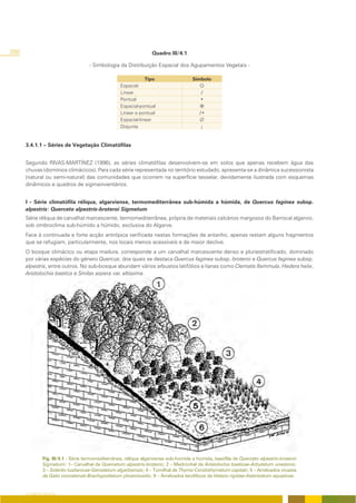 280                                                               Quadro III/4.1

                                     - Simbologia da Distribuição Espacial dos Agupamentos Vegetais -

                                                               Tipo                  Símbolo
                                                   Espacial
                                                   Linear                                /
                                                   Pontual                               •
                                                   Espacial-pontual
                                                   Linear e pontual                      /•
                                                   Espacial-linear
                                                   Disjunta                              ;


      3.4.1.1 – Séries de Vegetação Climatófilas


      Segundo RIVAS-MARTÍNEZ (1996), as séries climatófilas desenvolvem-se em solos que apenas recebem água das
      chuvas (domínios climácicos). Para cada série representada no território estudado, apresenta-se a dinâmica sucessionista
      (natural ou semi-natural) das comunidades que ocorrem na superfície tesselar, devidamente ilustrada com esquemas
      dinâmicos e quadros de sigmainventários.


      I - Série climatófila réliqua, algarviense, termomediterrânea sub-húmida a húmida, de Quercus faginea subsp.
      alpestris: Querceto alpestris-broteroi Sigmetum
      Série réliqua de carvalhal marcescente, termomediterrânea, própria de materiais calcários margosos do Barrocal algarvio,
      sob ombroclima sub-húmido a húmido, exclusiva do Algarve.
      Face à continuada e forte acção antrópica verificada nestas formações de antanho, apenas restam alguns fragmentos
      que se refugiam, particularmente, nos locais menos acessíveis e de maior declive.
      O bosque climácico ou etapa madura, corresponde a um carvalhal marcescente denso e pluriestratificado, dominado
      por várias espécies do género Quercus, dos quais se destaca Quercus faginea subsp. broteroi e Quercus faginea subsp.
      alpestris, entre outros. No sub-bosque abundam vários arbustos latifólios e lianas como Clematis flammula, Hedera helix,
      Aristolochia baetica e Smilax aspera var. altissima.




               Fig. III/4.1 - Série termomediterrânea, réliqua algarviense sub-húmida a húmida, basófila de Querceto alpestris-broteroi
               Sigmetum: 1– Carvalhal de Quercetum alpestris-broteroi; 2 – Medronhal de Aristolochio baeticae-Arbutetum unedonis;
               3 – Siderito lusitanicae-Genistetum algarbiensis; 4 – Tomilhal de Thymo-Coridothymetum capitati; 5 – Arrelvados vivazes
               de Galio concatenati-Brachypodietum phoenicoidis; 6 – Arrelvados terofíticos de Velezio rigidae-Astericetum aquaticae.


      O COBERTO VEGETAL
 