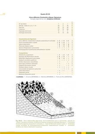 288                                                                 Quadro III/4.8

                                                Vinco difformis-Ceratonieto siliquae Sigmetum,
                                                 faciação algarviense com Juniperus turbinata

                                                                                                                        P
                               Nº de Ordem                                                        1       2      1      R
                               Altitude média (m.s.m.) 1=10                                      30       5     35      E
                               Área (ha)                                                         20      10     40      S
                               Cobertura                                                         70      75     60      E
                               Exposição dominante                                               N       S      S       N
                               Inclinação dominante                                              15      15     30      Ç
                                                                                                                        A
                                                                                                                        S

                               Características de Sigmetum
                               Vinco difformis -Ceratonietum siliquae juniperetosum turbinatae   3       3     3         3
                               Thymo-Coridothymetum capitati                                     2       2     + •       3
                               Velezio-Astericetum                                               1       1     1         3
                               Phlomido-Cistetum albidi                                          1       1     1         3
                               Geranio-Theligonetum cynocrambis                                  + •     + •   + •       3
                               Andropogonetum-pubescentis bellevalietosum hackelii                 .     + •   + •       2

                               Companheiras
                               Aristolochio-Juniperetum                                          1       1     1         3
                               Asparago albi-Rhamnetum oleoidis                                  2       2     + •       3
                               Medicagini-Aegilopetum geniculatae                                1       1     + •       3
                               Sedetum micrantho-sediformis                                      +   •   + •   + •       3
                               Smilaco-Quercetum rotundifoliae                                   +   •     .    +        2
                               Hornungio-Linarietum haenseleri                                   +   •     .   + •       2
                               Phagnalo-Rumicetum indurati                                       +   •     .   + •       2
                               Parietario-Galion muralis                                         +   •   + •   + •
                               Comunidade de Asplenium petrarchae                                 .      + •   + •       2
                               Urtico-Smyrnietum                                                 + •     + •     .       2
                               Polypodion serrati                                                + •       .     .       1
                               Bartramio-Polypodion serrati                                      + •       .     .       1

                          Localidades: 1 – Amorosa (29SNB5923); 2 – Albufeira (29SNB6405); 3 – Rocha da Pena (29SNB7923).




                          Fig. III/4.5 - Série edafoxerófila algarviense, termomediterrânea seca a sub-húmida, calcícola do
                          “zimbro” (Juniperus turbinata): Aristolochio baeticae-Junipereto turbinatae Sigmetum: 1 – Zimbral de
                          Aristolochio baeticae-Juniperetum turbinatae, 2 – Xaral de Phlomido-Cistetum albidi; 3 – Arrelvados
                          vivazes termófilos de Andropogonetum-pubescentis bellevalietosum hackelii; 4 – Arrelvados
                          terofíticos de Velezio-Astericetum aquaticae.


      O COBERTO VEGETAL
 