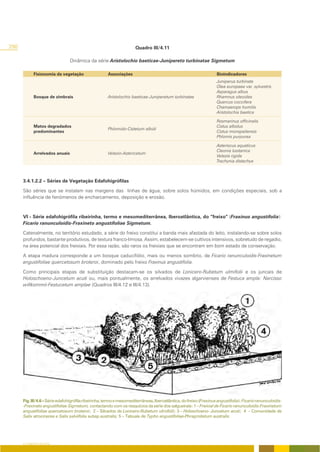 290                                                                   Quadro III/4.11

                                Dinâmica da série Aristolochio baeticae-Junipereto turbinatae Sigmetum

            Fisionomia da vegetação                   Associações                                                   Bioindicadores
                                                                                                                    Juniperus turbinata
                                                                                                                    Olea europaea var. sylvestris
                                                                                                                    Asparagus albus
            Bosque de zimbrais                        Aristolochio baeticae-Juniperetum turbinatae                  Rhamnus oleoides
                                                                                                                    Quercus coccifera
                                                                                                                    Chamaerops humilis
                                                                                                                    Aristolochia baetica

                                                                                                                    Rosmarinus officinalis
            Matos degradados                                                                                        Cistus albidus
                                                      Phlomido-Cistetum albidi
            predominantes                                                                                           Cistus monspeliensis
                                                                                                                    Phlomis purpurea

                                                                                                                    Asteriscus aquaticus
                                                                                                                    Cleonia lusitanica
            Arrelvados anuais                         Velezio-Astericetum
                                                                                                                    Velezia rigida
                                                                                                                    Trachynia distachya



      3.4.1.2.2 – Séries de Vegetação Edafohigrófilas

      São séries que se instalam nas margens das linhas de água, sobre solos húmidos, em condições especiais, sob a
      influência de fenómenos de encharcamento, deposição e erosão.



      VI - Série edafohigrófila ribeirinha, termo e mesomediterrânea, Iberoatlântica, do “freixo” (Fraxinus angustifolia):
      Ficario ranunculoidis-Fraxineto angustifoliae Sigmetum.

      Catenalmente, no território estudado, a série do freixo constitui a banda mais afastada do leito, instalando-se sobre solos
      profundos, bastante produtivos, de textura franco-limosa. Assim, estabelecem-se cultivos intensivos, sobretudo de regadio,
      na área potencial dos freixiais. Por essa razão, são raros os freixiais que se encontram em bom estado de conservação.

      A etapa madura corresponde a um bosque caducifólio, mais ou menos sombrio, de Ficario ranunculoidis-Fraxinetum
      angustifoliae quercetosum broteroi, dominado pelo freixo Fraxinus angustifolia.

      Como principais etapas de substituição destacam-se os silvados de Lonicero-Rubetum ulmifolii e os juncais de
      Holoschoeno-Juncetum acuti ou, mais pontualmente, os arrelvados vivazes algarvienses de Festuca ampla: Narcisso
      willkommii-Festucetum amplae (Quadros III/4.12 e III/4.13).




      Fig. III/4.6 – Série edafohigrófila ribeirinha, termo e mesomediterrâneas, Iberoatlântica, do freixo (Fraxinus angustifolia): Ficario ranunculoidis-
      -Fraxineto angustifoliae Sigmetum, contactando com os resquícios da série dos salgueirais: 1 – Freixial de Ficario ranunculoidis-Fraxinetum
      angustifoliae quercetosum broteroi; 2 – Silvados de Lonicero-Rubetum ulmifolii; 3 – Holoschoeno- Juncetum acuti; 4 – Comunidade de
      Salix atrocinerea e Salix salviifolia subsp australis; 5 – Tabuais de Typho angustifoliae-Phragmitetum australis.




      O COBERTO VEGETAL
 