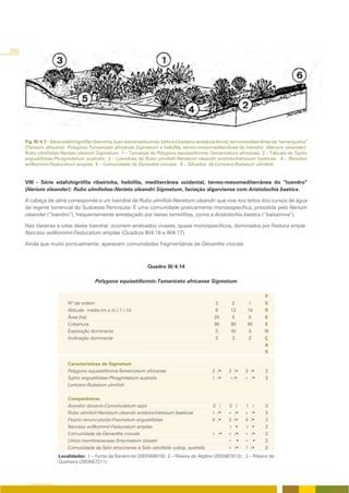 292




      Fig. III/4.7 – Série edafohigrófila ribeirinha, luso-extremadurense, bética e lusitano-andaluza litoral, termomediterrânea da “tamargueira”
      (Tamarix africana): Polygono-Tamariceto africanae Sigmetum e heliófila, termo-mesomediterrânea do loendro (Nerium oleander):
      Rubo ulmifoliae-Nerieto oleandri Sigmetum: 1 – Tamargal de Polygono equisetiformis-Tamaricetum africanae; 2 – Tabuais de Typho
      angustifoliae-Phragmitetum australis; 3 – Loendrais de Rubo ulmifolii-Nerietum oleandri aristolochietosum baeticae; 4 – Narcisso
      willkommii-Festucetum amplae; 5 – Comunidade de Oenanthe crocata; 6 – Silvados de Lonicero-Rubetum ulmifolii.


      VIII - Série edafohigrófila ribeirinha, heliófila, mediterrânea ocidental, termo-mesomediterrânea do “loendro”
      (Nerium oleander): Rubo ulmifoliae-Nerieto oleandri Sigmetum, faciação algarviense com Aristolochia baetica.

      A cabeça de série corresponde a um loendral de Rubo ulmifolii-Nerietum oleandri que vive nos leitos dos cursos de água
      de regime torrencial do Sudoeste Peninsular. É uma comunidade praticamente monoespecífica, presidida pelo Nerium
      oleander (“loendro”), frequentemente entrelaçado por lianas termófilas, como a Aristolochia baetica (“balsamina”).

      Nas clareiras e orlas deste loendral, ocorrem arrelvados vivazes, quase monospecíficos, dominados por Festuca ampla:
      Narcisso willkommii-Festucetum amplae (Quadros III/4.16 e III/4.17).

      Ainda que muito pontualmente, aparecem comunidades fragmentárias de Oenanthe crocata.



                                                                     Quadro III/4.14

                                            Polygono equisetiformis-Tamariceto africanae Sigmetum

                                                                                                                            P
                              Nº de ordem                                                             3      2      1       S
                              Altitude média (m.s.m.) 1=10                                             6     12     14      R
                              Área (ha)                                                               20      5      5      E
                              Cobertura                                                               90     90     95      E
                              Exposição dominante                                                     S      W      S       N
                              Inclinação dominante                                                     2      3      2      Ç
                                                                                                                            A
                                                                                                                            S

                              Características de Sigmetum
                              Polygono equisetiformis-Tamaricetum africanae                          3 /•   3 /•   3 /•     3
                              Typho angustifoliae-Phragmitetum australis                             1 /•   +/•    + /•     3
                              Lonicero-Rubetum ulmifolii

                              Companheiras
                              Arundini donacis-Convolvuletum sepii                                   2 /    2 /    1 /      3
                              Rubo ulmifolii-Nerietum oleandri aristolochietosum baeticae            1 /•   + /•   + /•     3
                              Ficario ranunculoidis-Fraxinetum angustifoliae                         4 /•   3 /•   4 /•     3
                              Narcisso willkommii-Festucetum amplae                                         + •    + •      2
                              Comunidade de Oenanthe crocata                                         + /•   + /•   + /•     2
                              Urtico membranaceae-Smyrnietum olusatri                                       + •    + •      2
                              Comunidade de Salix atrocinerea e Salix salviifolia subsp. australis          + /•   1 /•     2
                          Localidades: 1 – Fonte da Benémola (29SNB8818); 2 – Ribeira de Algibre (29SNB7813); 3 – Ribeira de
                          Quarteira (29SNB7211).



      O COBERTO VEGETAL
 
