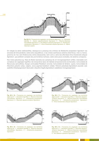 298




                                  Fig. III/4. 9 – Transectos de vegetação nos territórios algarvios I: 1,2 – Geossérie
                                  higrófila; 3 – Querco alpestris-broteroi Sigmetum; 4 – Rhamno-Querceto
                                  rotundifoliae Sigmetum; 5 – Aro-Oleetum sylvestris Sigmetum; 6 – Aristolochio-
                                  -Juniperetum Sigmetum; 7 – Vinco-Ceratonieto siliquae Sigmetum; 8 – Myrto-
                                  -Querceto suberis.


      Em relação às séries edafoxerófilas, destaque-se a presença dos zimbrais de Aristolochio-Juniperetum Sigmetum nas
      encostas de forte pendente, sobre solos esqueléticos, e nas cristas e penhascos calcários dolomíticos, mais ou menos,
      próximos do mar, sob influência dos ventos dessecantes; bem como a série dos alfarrobais Vinco-Ceratonieto siliquae
      Sigmetum, que preferem as bases dos promontórios rochosos, sobre solos pouco evoluídos, de calcários compactos.

      Nos meios palustres (e.g. Nave do Barão) assinalou-se a presença de um microgeosigmetum anfíbio, intercalado com
      complexos de vegetação higrófilos não temporários típico de habitats temporariamente encharcados: Comunidade de
      Ranunculus saniculifolius, Eryngio corniculatae-Preslietum cervinae, Comunidade de Verbena supina, Comunidade de
      Eleocharis palustris subsp. vulgaris, Junco pygmaei-Isoetetum velatae, Pulicario paludosae-Agrostietum pourretii, Loto
      subbiflori-Chaetopogonetum fasciculati e Gaudinio fragilis-Agrostietum castellanae microgeosigmetum.




      Fig. III/4. 10 – Transectos de vegetação nos territórios                      Fig. III/4. 11 – Transectos de vegetação nos territórios
      algarvios II: 1 – Geossérie higrófila; 2 – Rhamno-Querceto                    algarvios III: 1 – Geossérie higrófila; 2 – Querceto alpestris-
      rotundifoliae Sigmetum; 3 – Aristolochio-Juniperetum                          -broteroi Sigmetum; 3 – Rhamno-Querceto rotundifoliae
      Sigmetum; 4 – Querceto alpestris-broteroi Sigmetum.                           Sigmetum; 4 – Aristolochio-Juniperetum Sigmetum;
                                                                                    5 – Vinco-Ceratonieto siliquae Sigmetum.




      Fig. III/4. 12 – Transectos de vegetação nos territórios                      Fig. III/4. 13 – Transectos de vegetação nos territórios
      algarvios IV: 1 – Geossérie higrófila; 2 – Rhamno-Querceto                    algarvios V: 1 – Geossérie higrófila; 2 – Querceto alpestris-
      rotundifoliae Sigmetum; 3 – Aristolochio-Juniperetum                          -broteroi Sigmetum; 3 – Rhamno-Querceto rotundifoliae
      Sigmetum.                                                                     Sigmetum; 4 – Aristolochio-Juniperetum Sigmetum;
                                                                                    5 – Aro-Oleetum sylvestris Sigmetum.


      O COBERTO VEGETAL
 